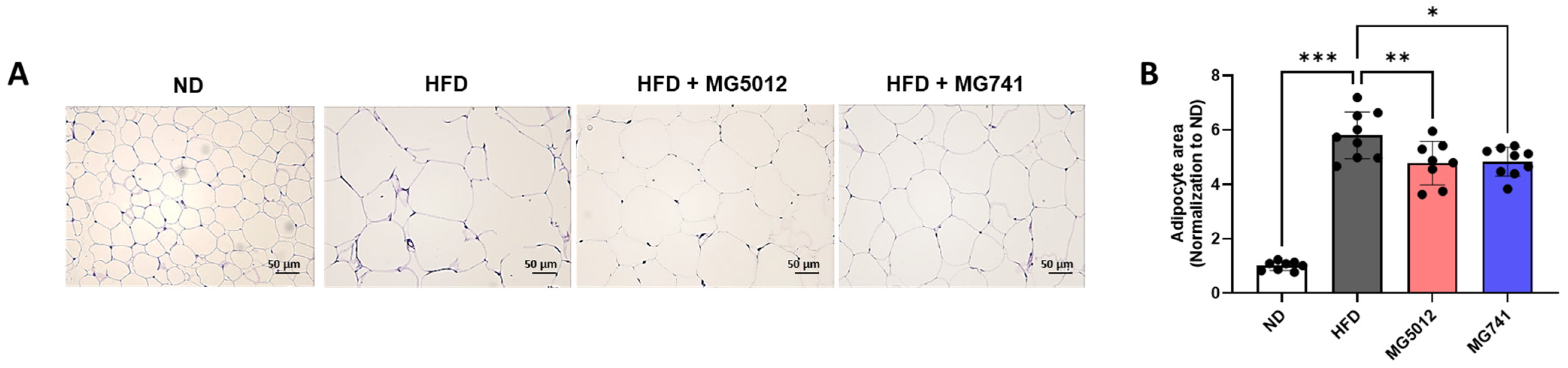 Nutrients 18 00715 g005
