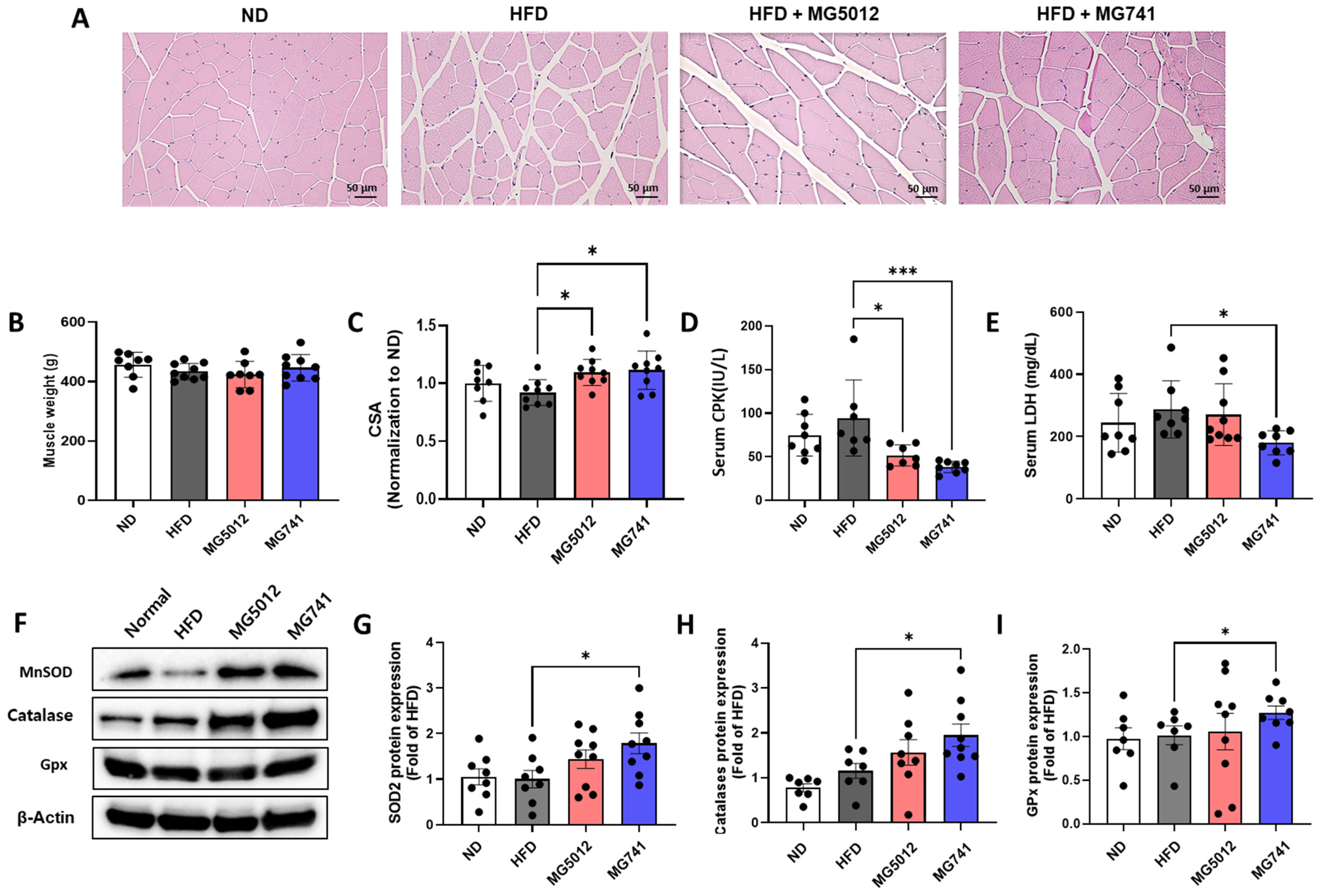 Nutrients 18 00715 g006