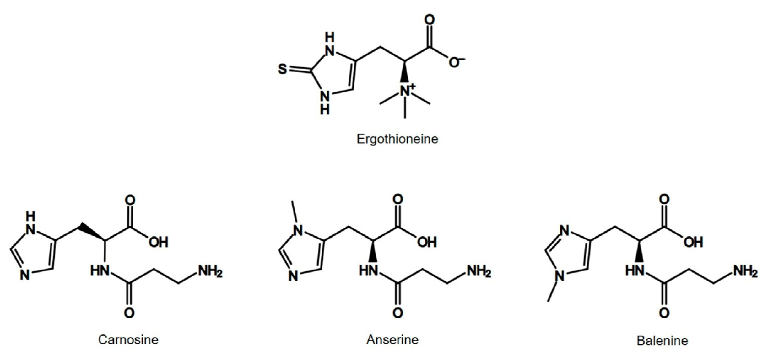 Nutrients 18 00781 g005 Nutrients 18 00781 g005