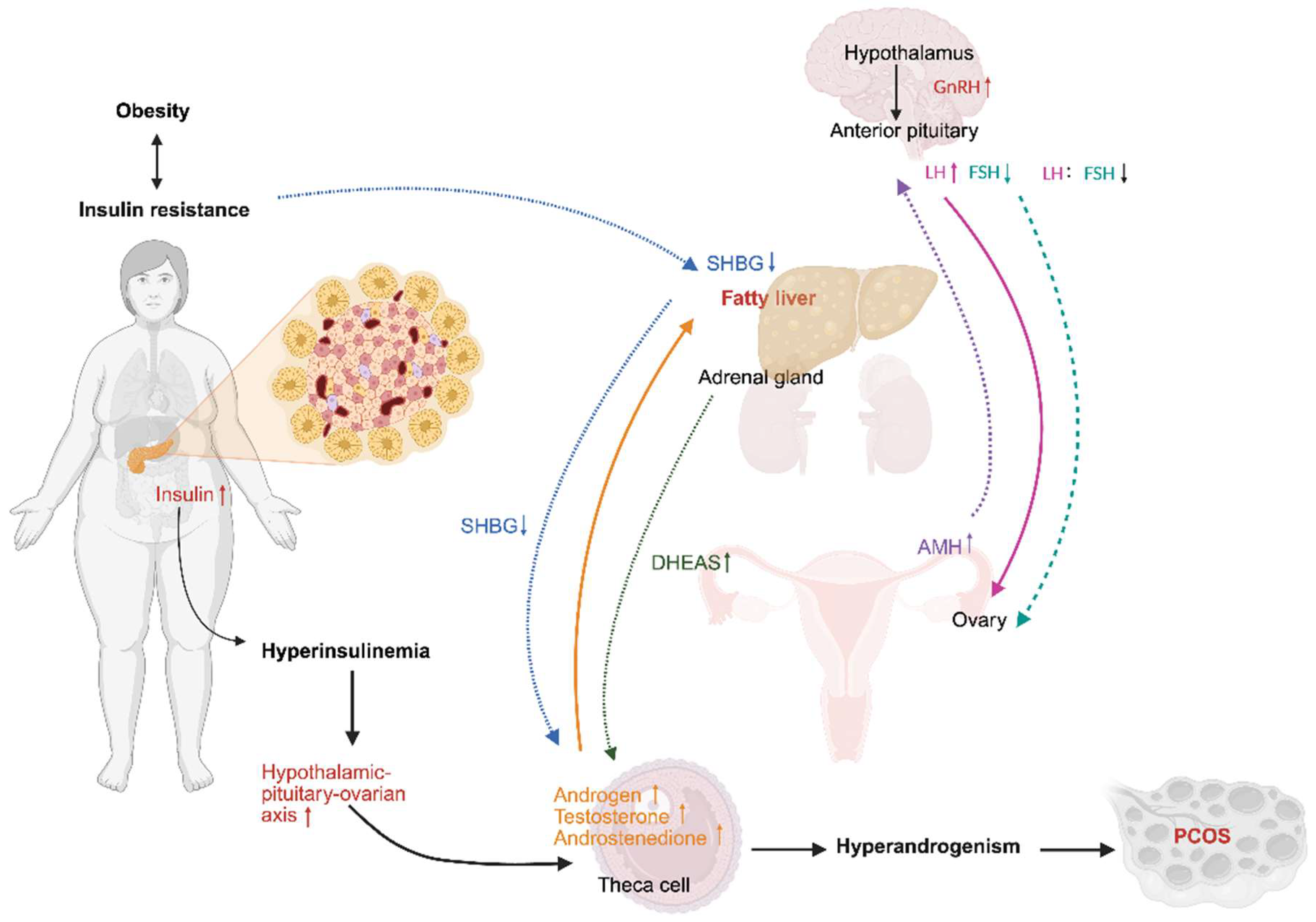 Nutrients 18 00964 g001 Nutrients 18 00964 g001