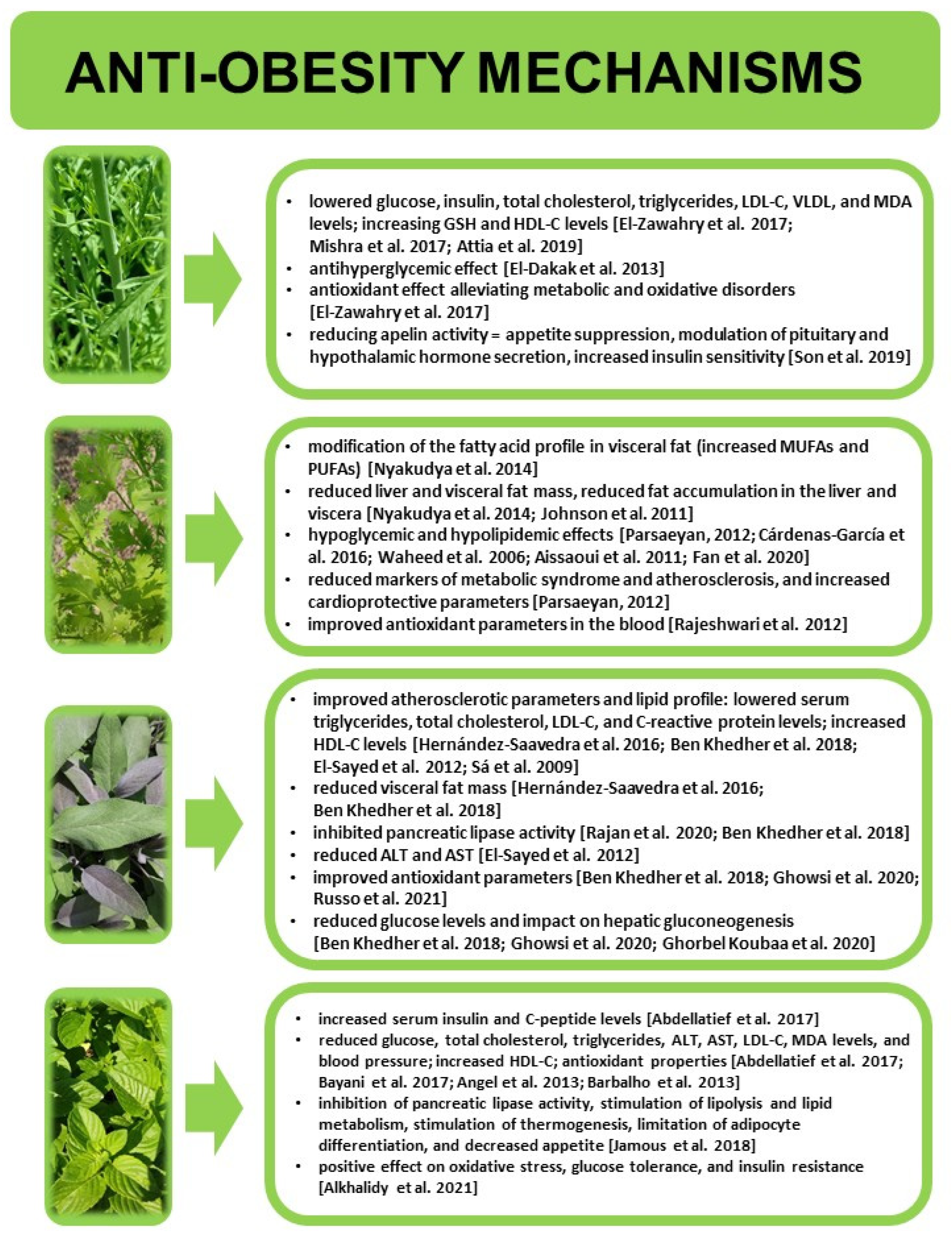 Nutrients 18 00993 g003 Nutrients 18 00993 g003