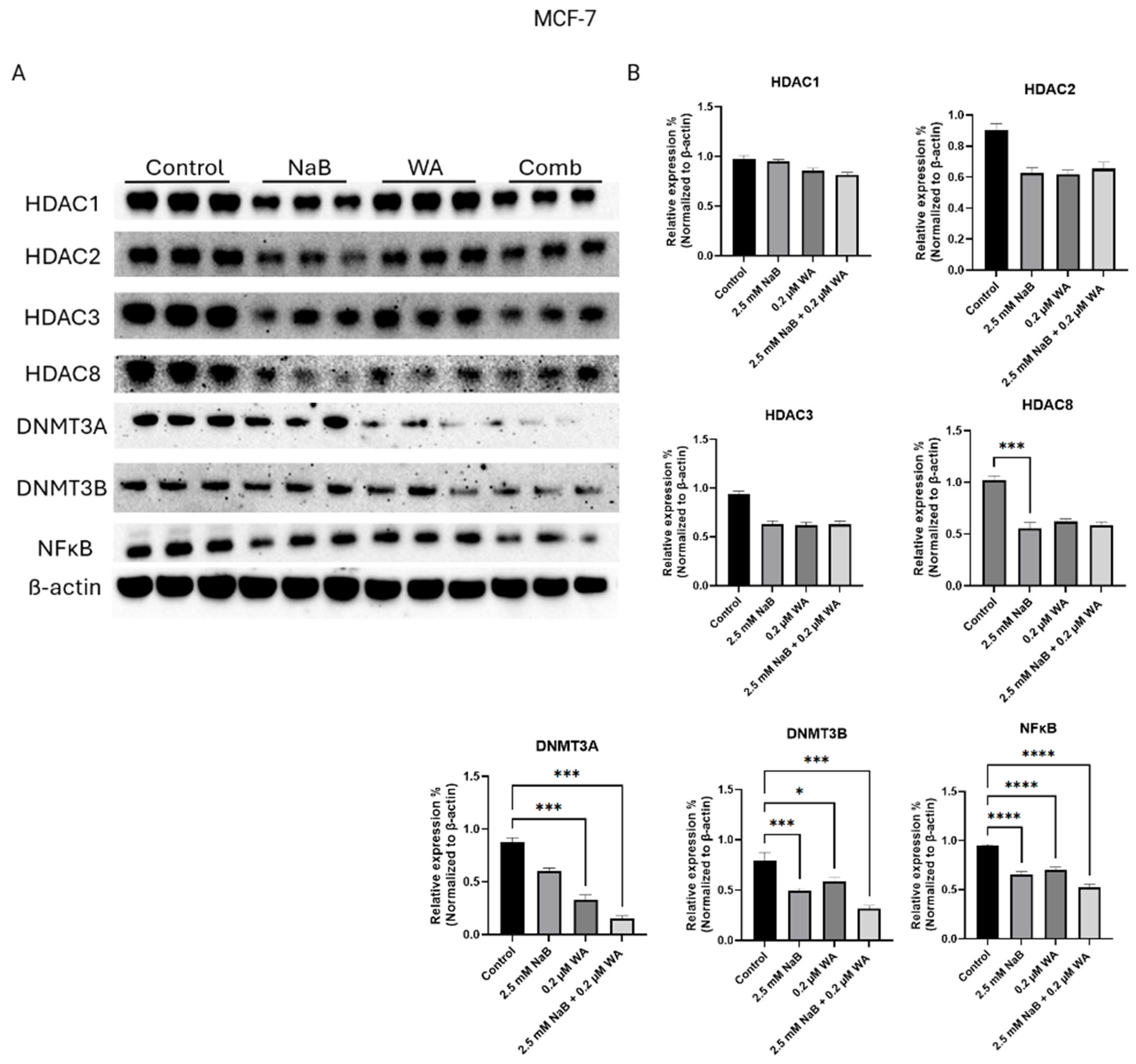 Nutrients 18 01015 g004 Nutrients 18 01015 g004