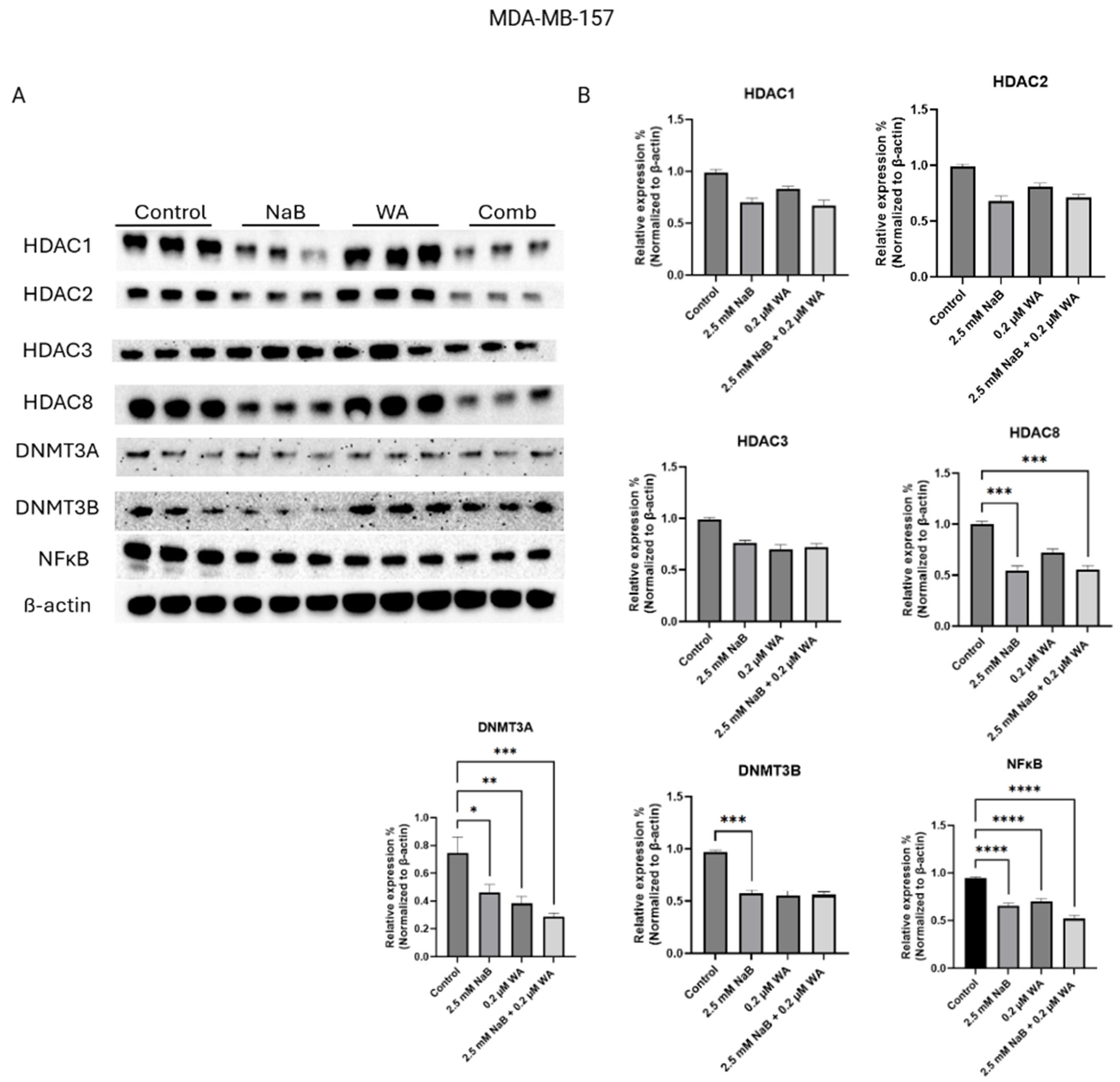 Nutrients 18 01015 g005 Nutrients 18 01015 g005