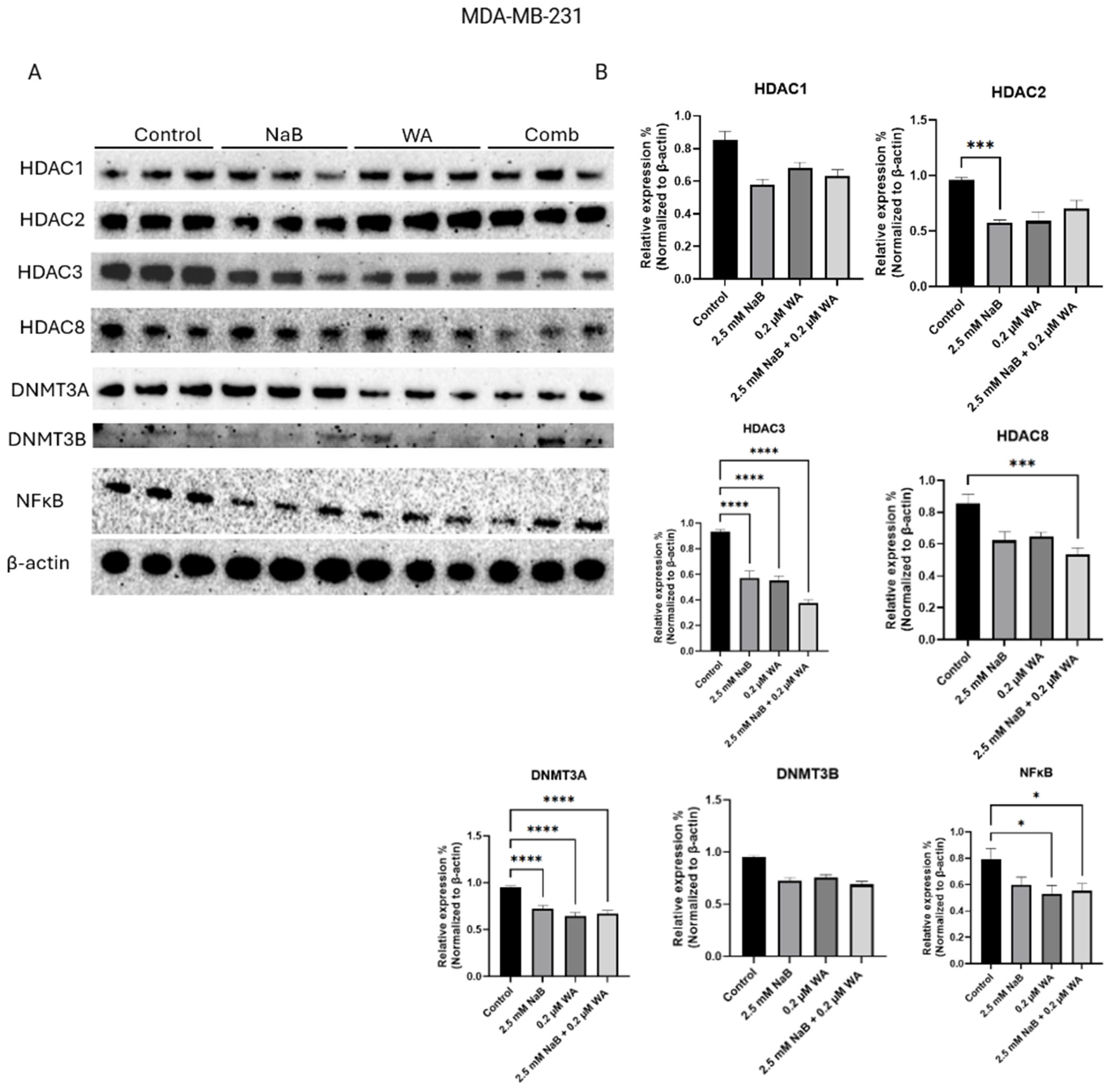 Nutrients 18 01015 g006 Nutrients 18 01015 g006