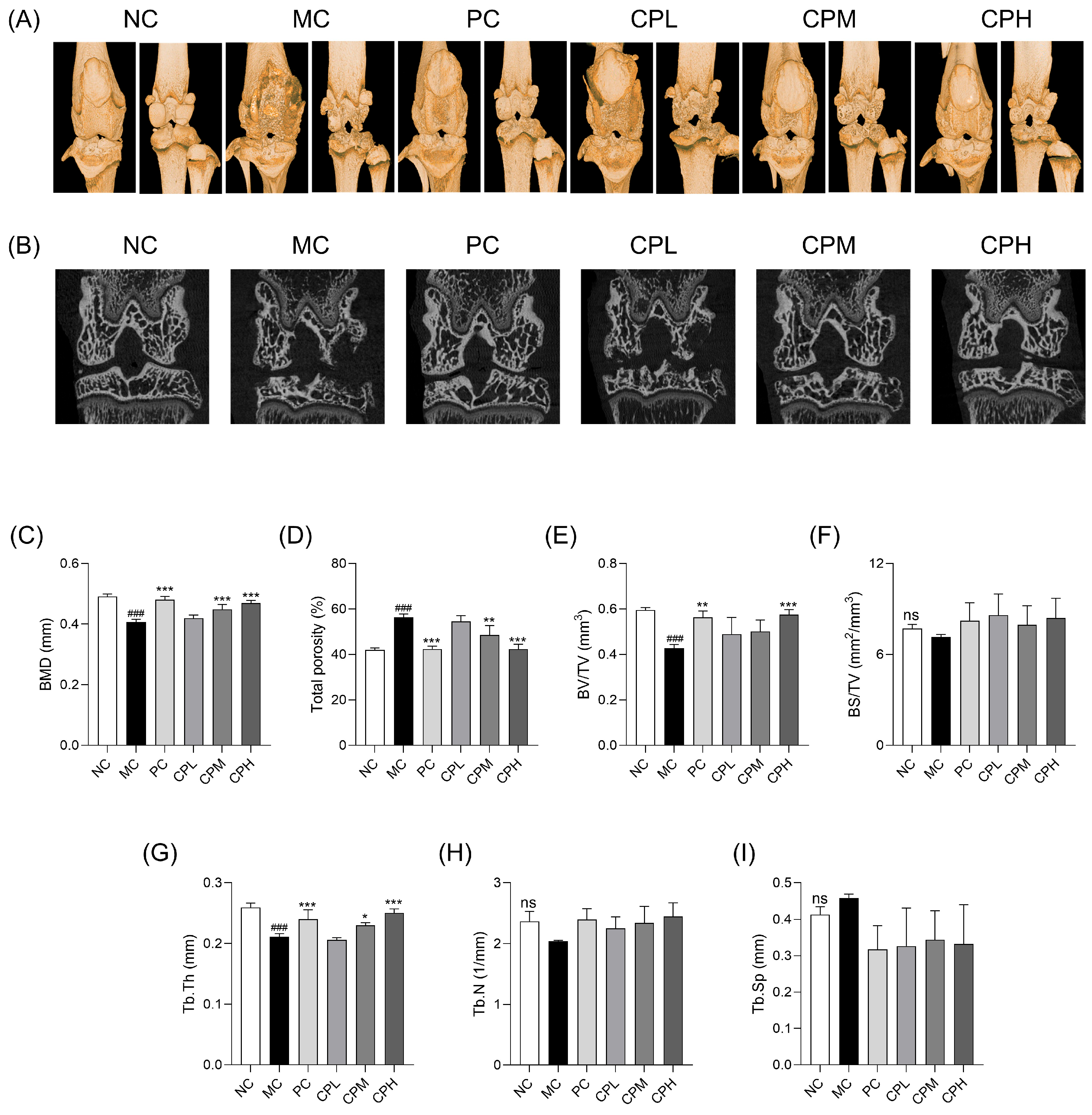 Nutrients 18 01111 g002 Nutrients 18 01111 g002