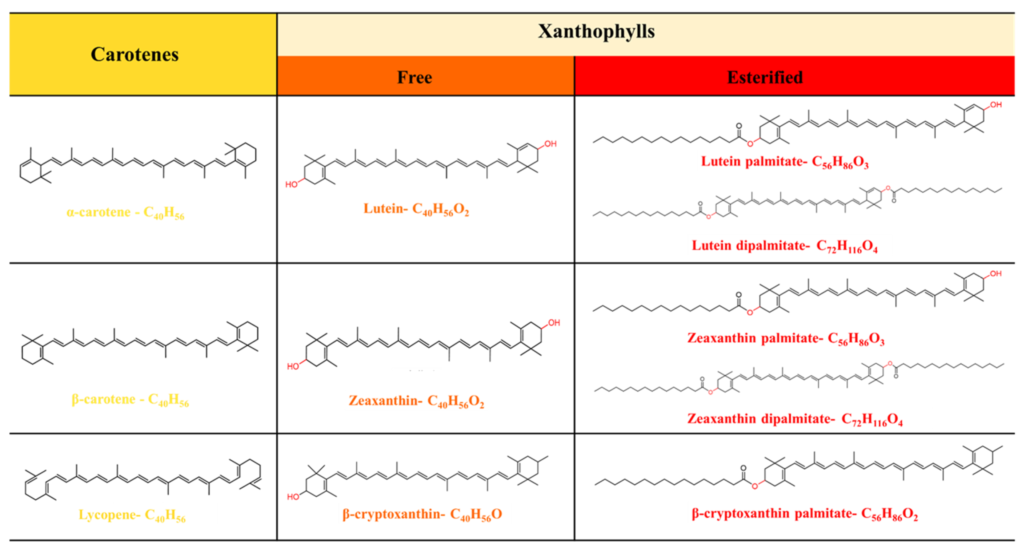 Nutrients 18 01389 g001