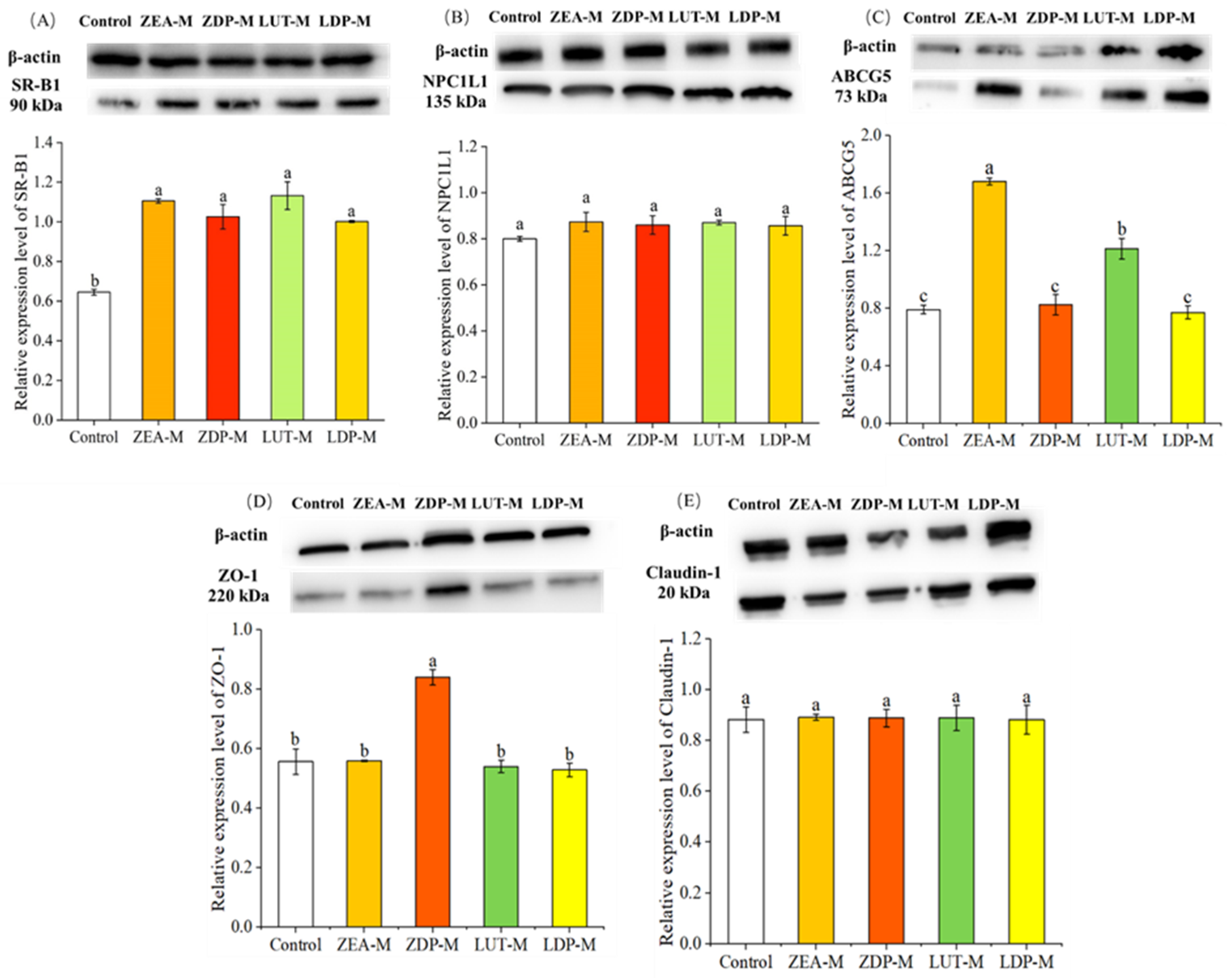 Nutrients 18 01389 g004