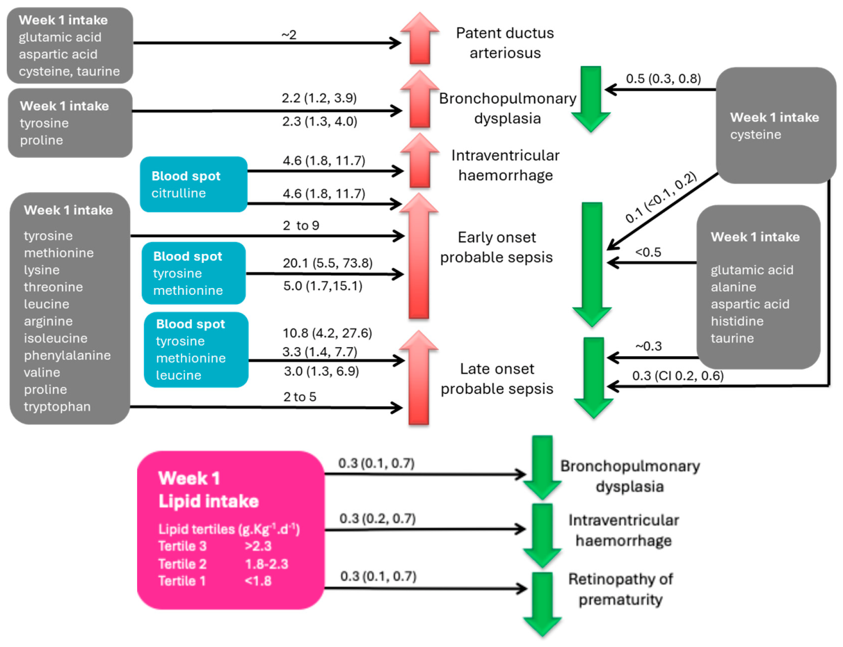 Nutrients 18 01517 g007 Nutrients 18 01517 g007