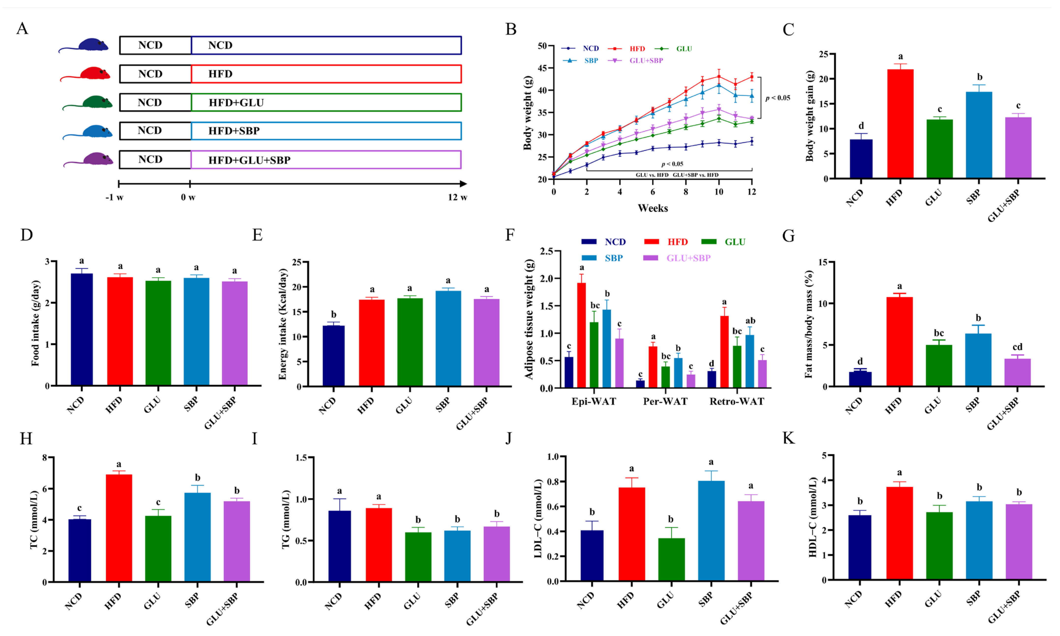 Nutrients 18 01571 g001