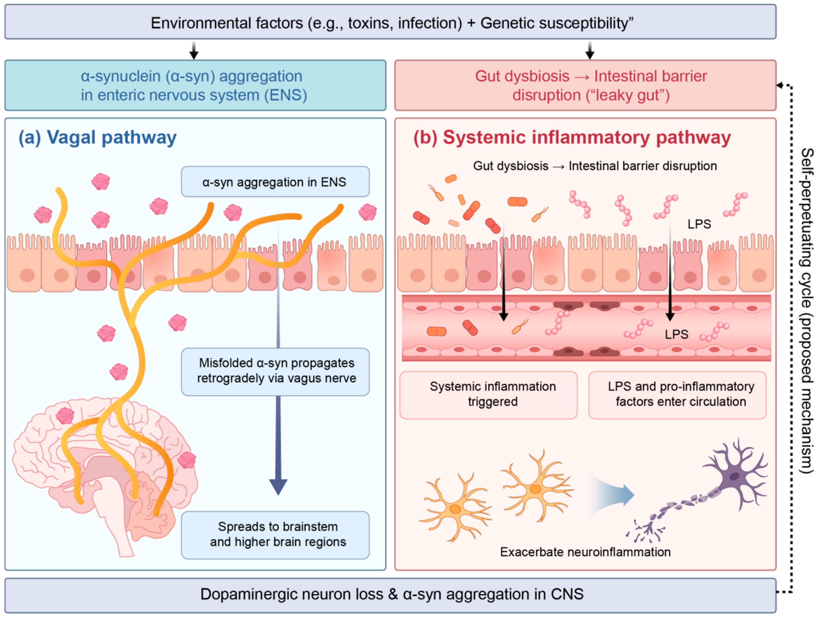 Nutrients 18 01639 g002 Nutrients 18 01639 g002