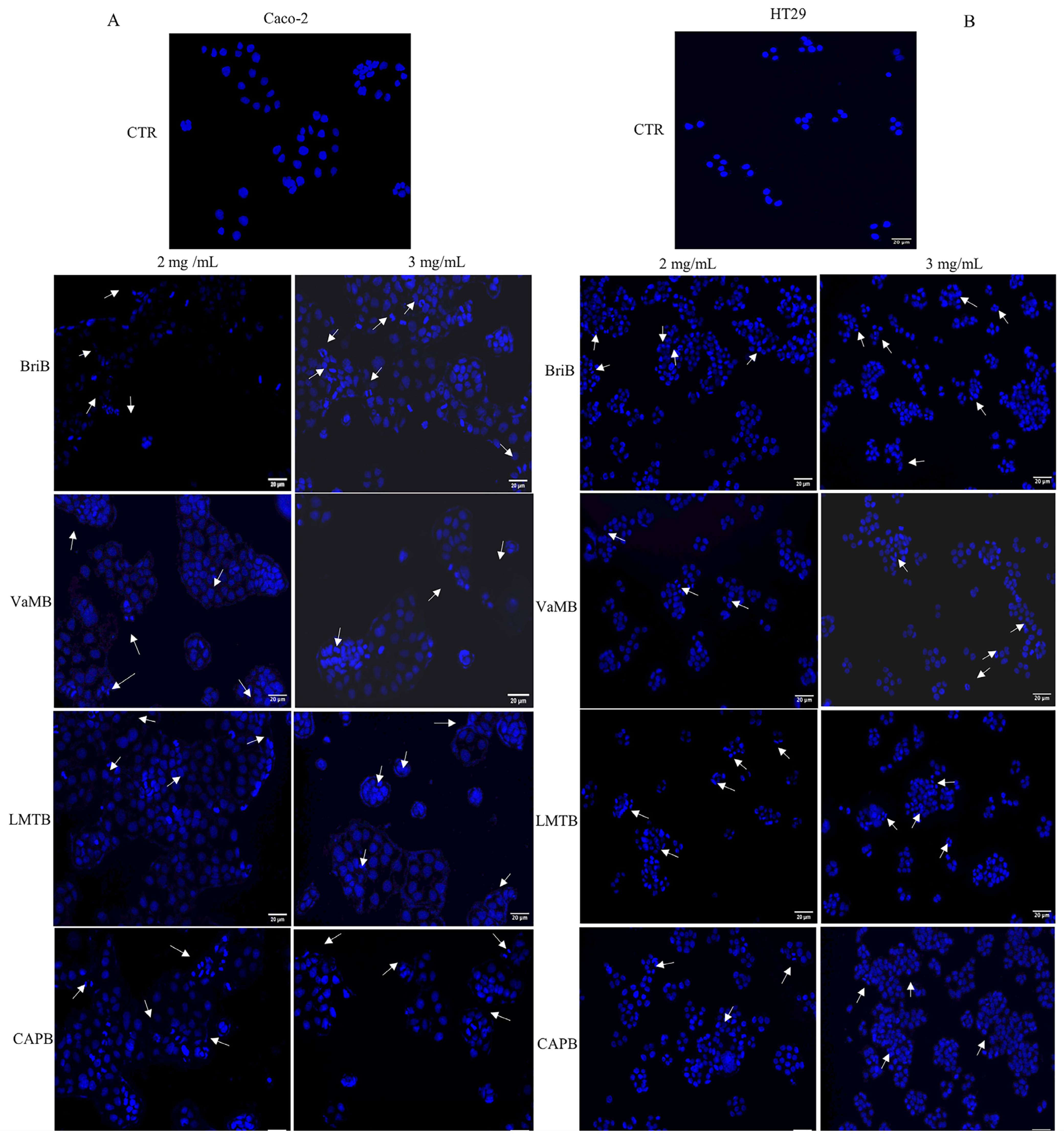 Nutrients 18 02077 g002 Nutrients 18 02077 g002