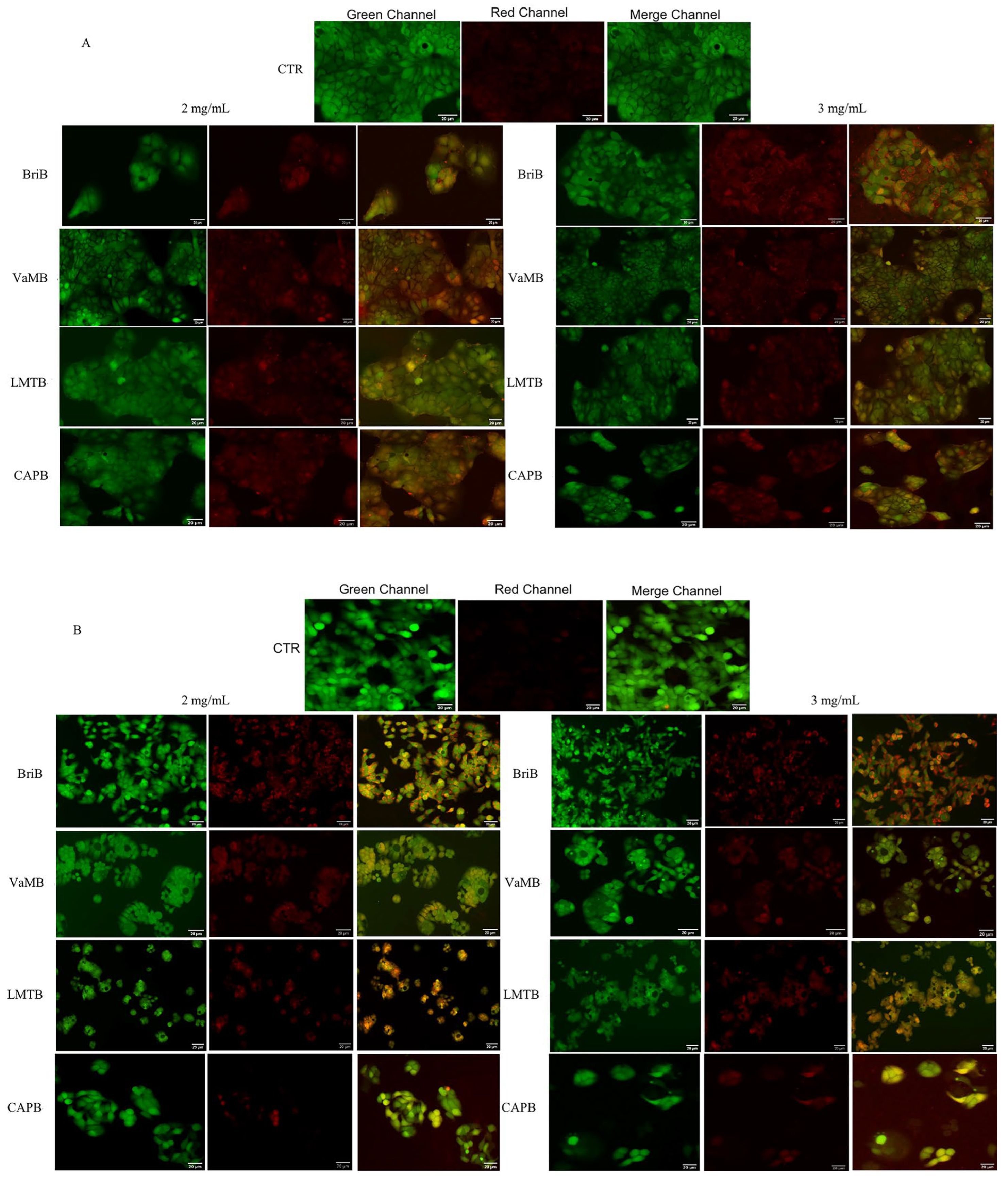 Nutrients 18 02077 g003 Nutrients 18 02077 g003