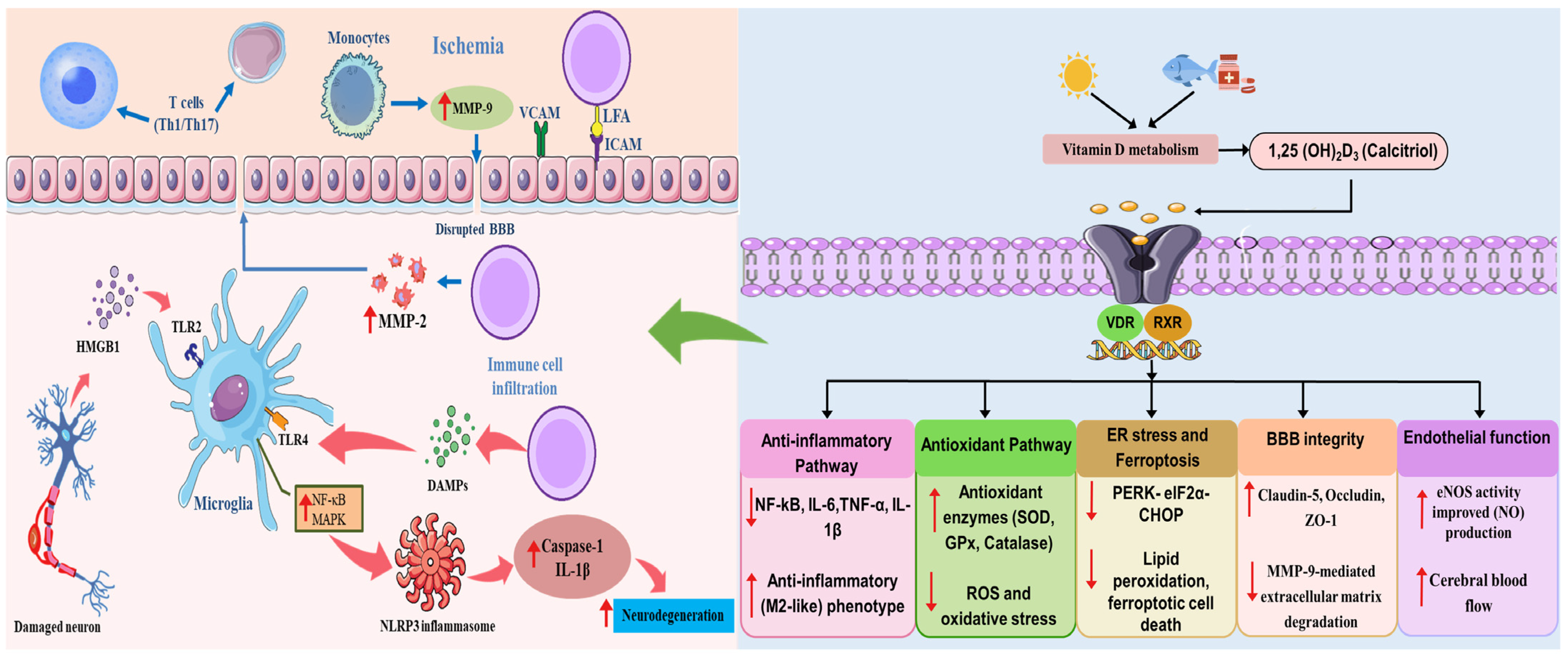 Nutrients 18 02082 g006 Nutrients 18 02082 g006