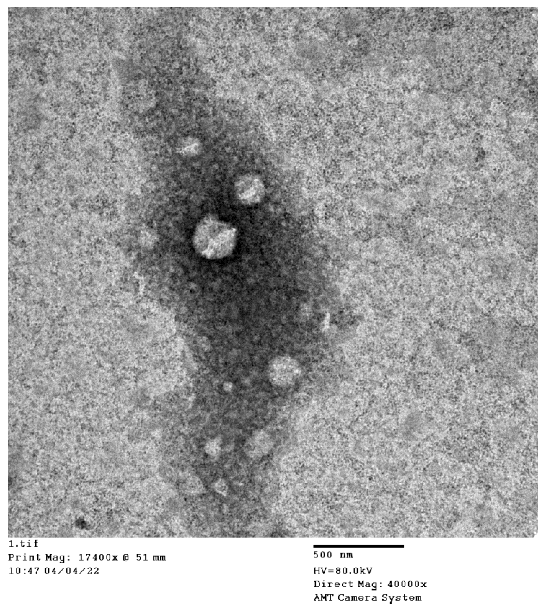 Nutrients 18 02130 g004