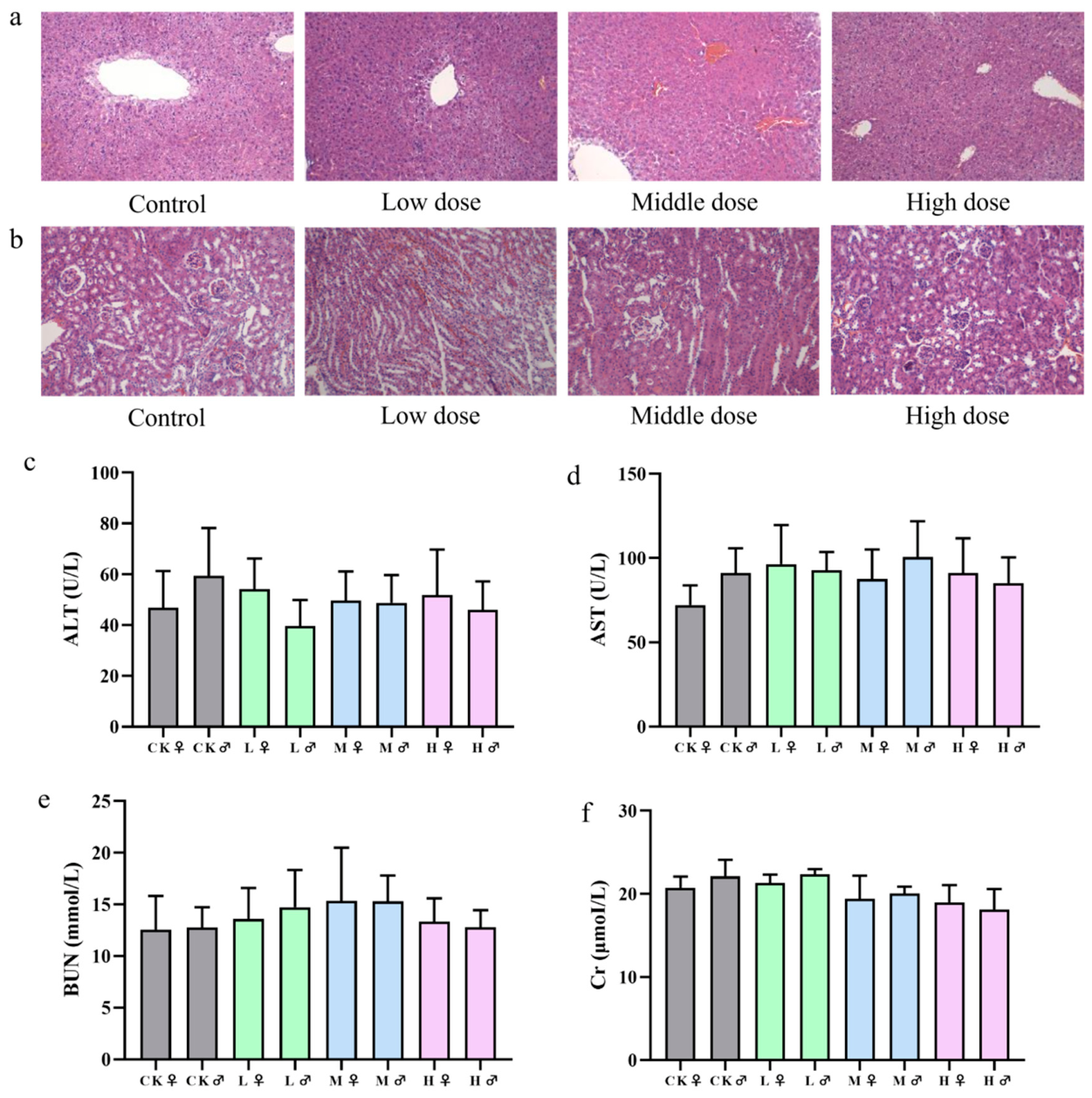 Nutrients 18 02149 g001 Nutrients 18 02149 g001