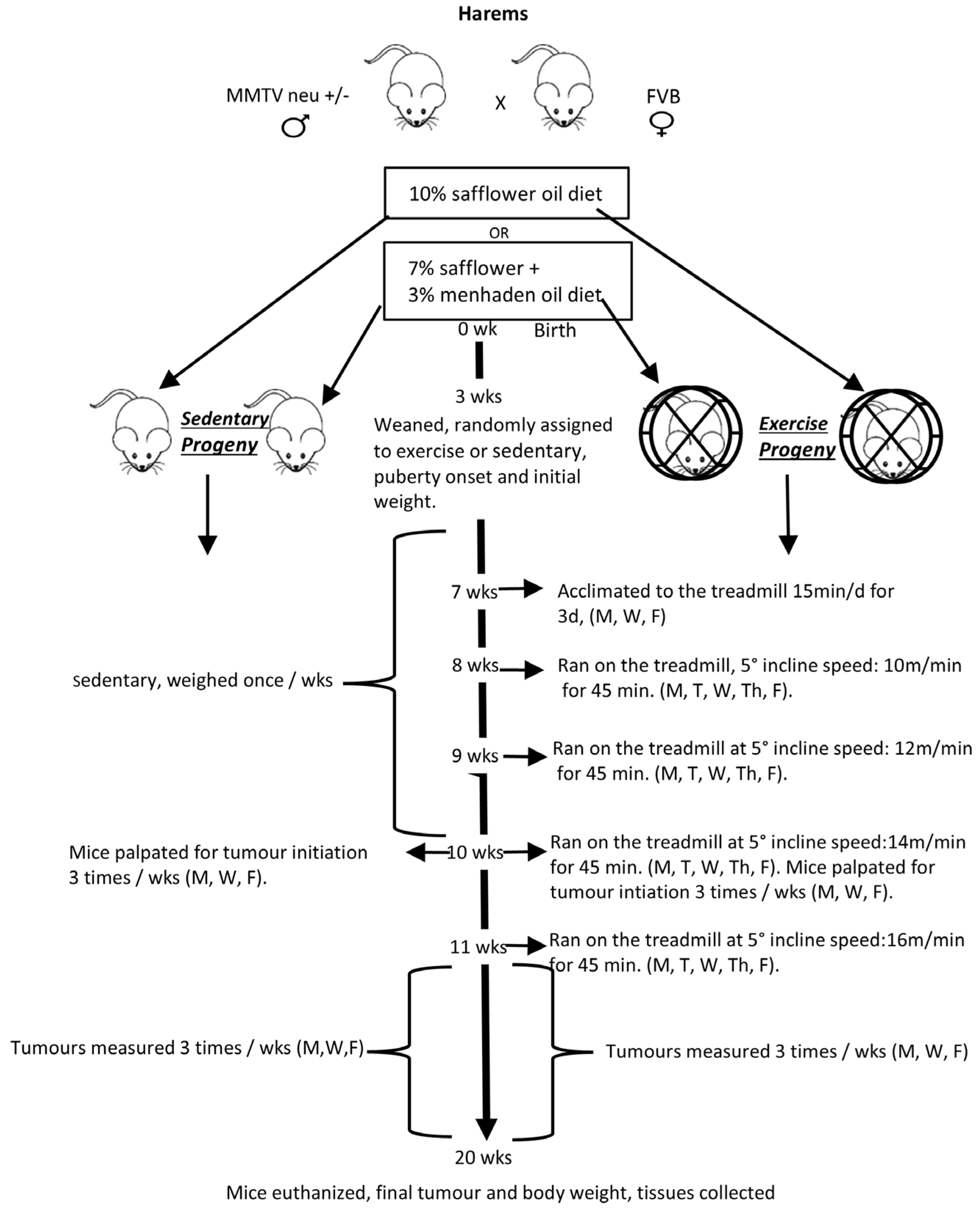 Nutrients 18 02262 g001 Nutrients 18 02262 g001
