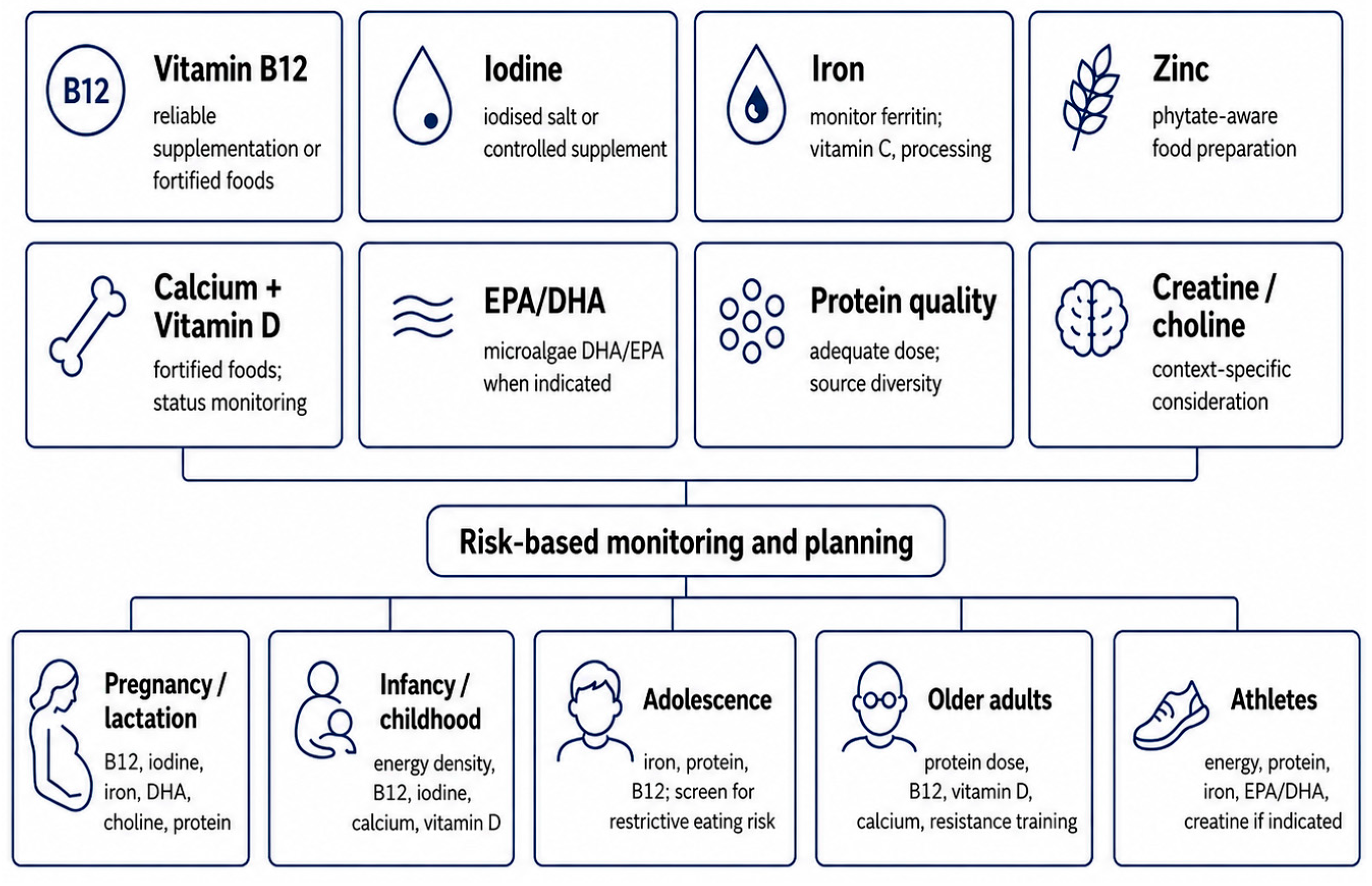 Nutrients 18 02291 g001 Nutrients 18 02291 g001
