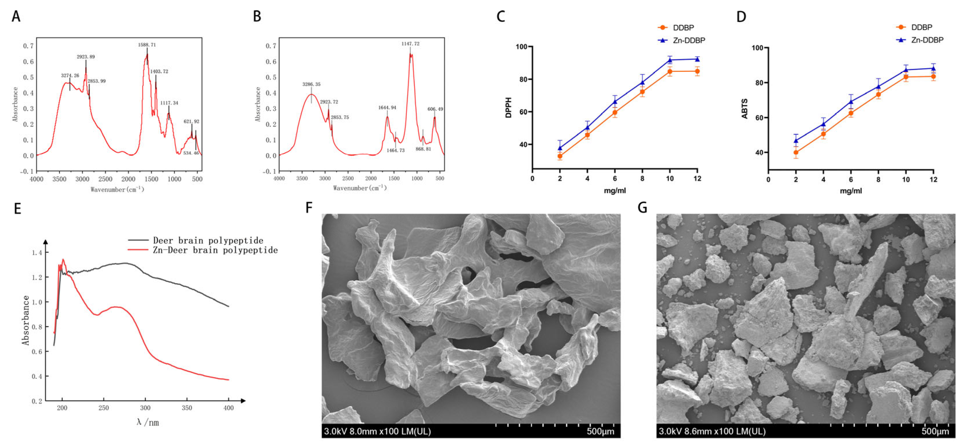 Nutrients 18 02462 g003 Nutrients 18 02462 g003