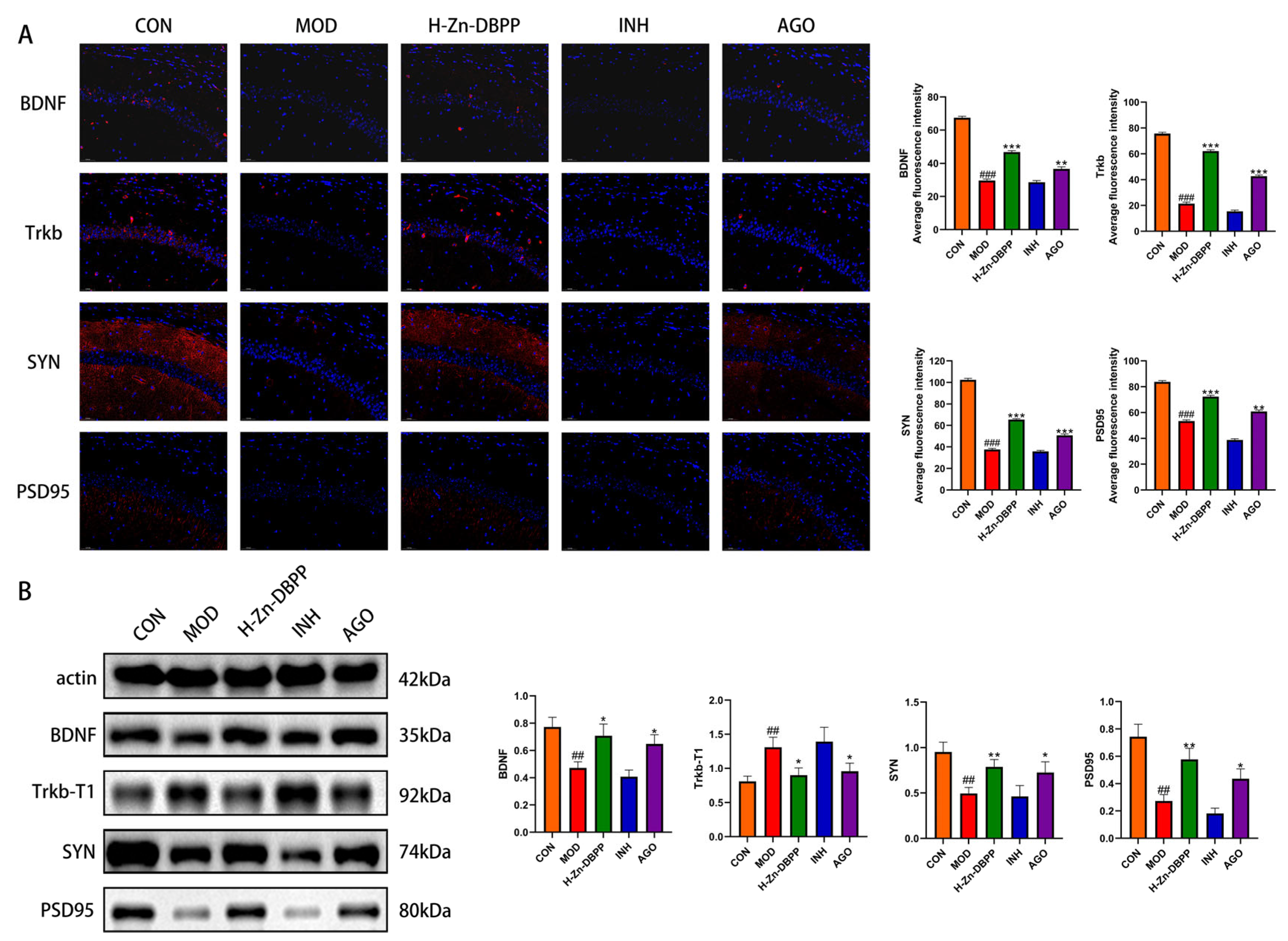 Nutrients 18 02462 g006 Nutrients 18 02462 g006