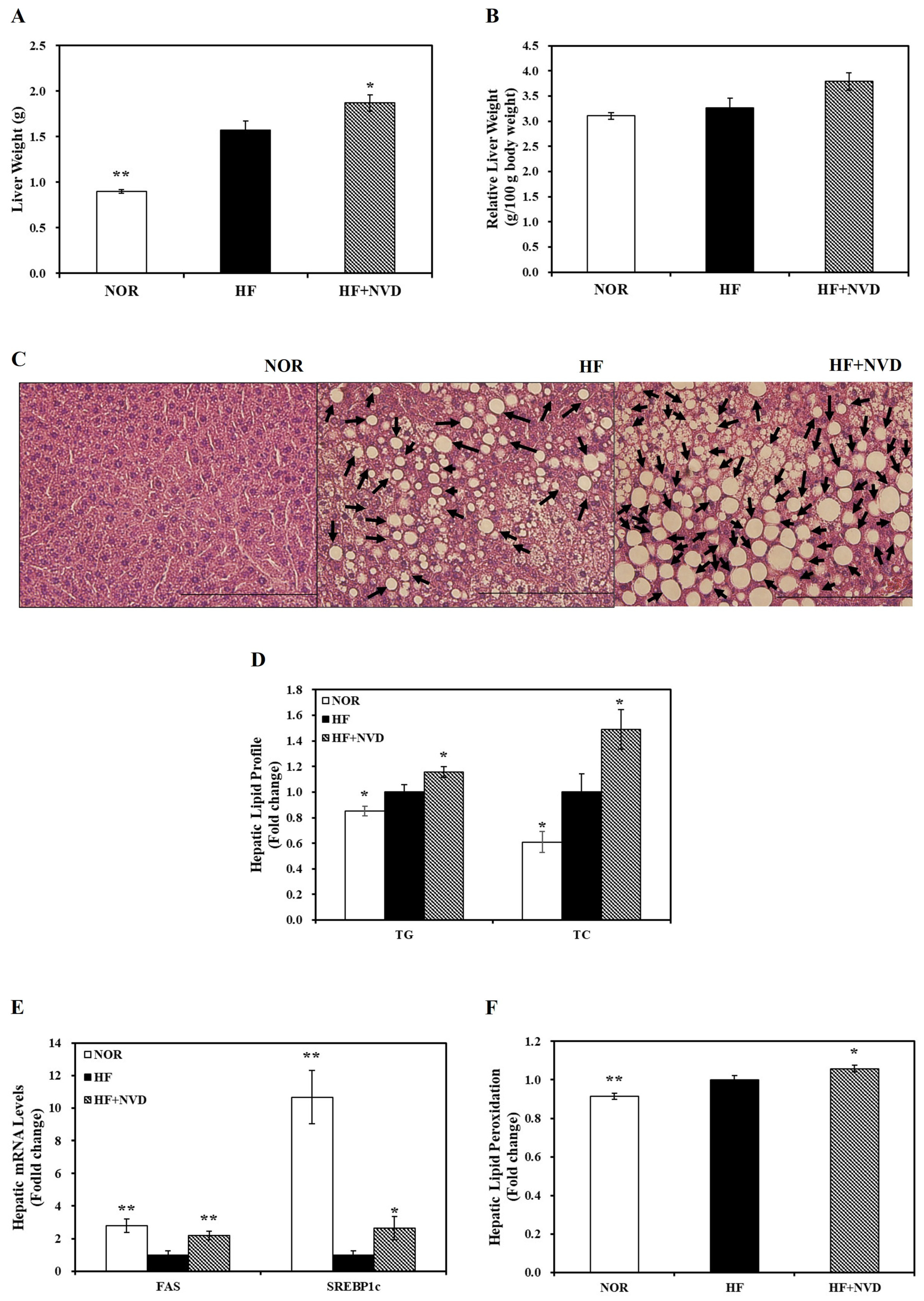 Nutrients 18 02481 g003 Nutrients 18 02481 g003