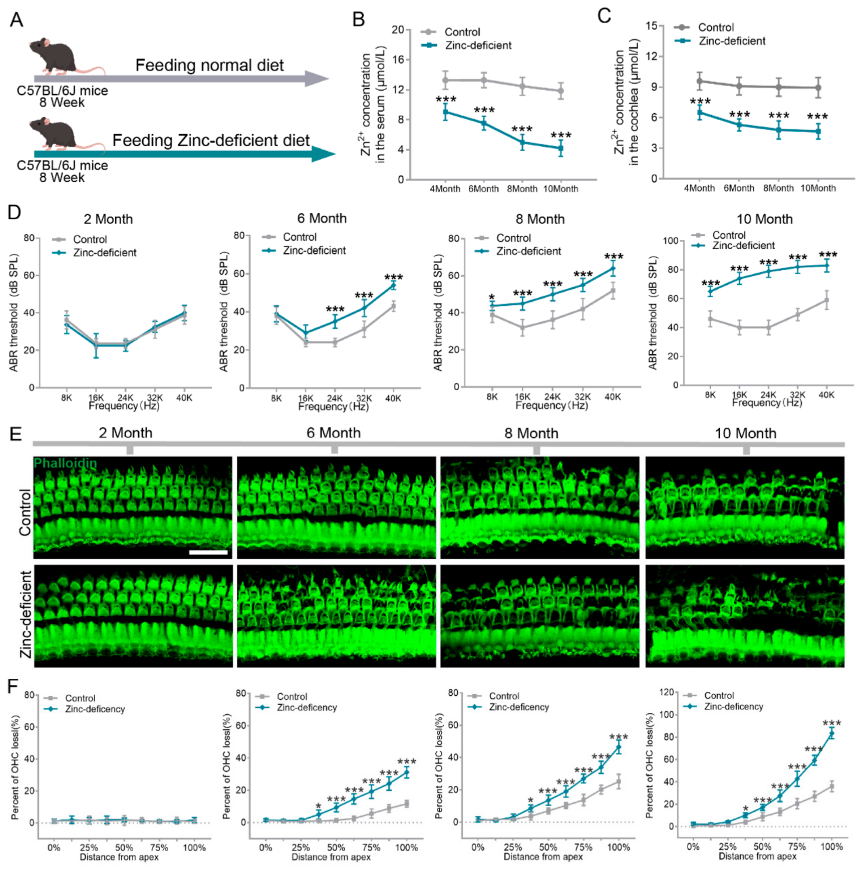 Nutrients 18 03121 g001 Nutrients 18 03121 g001