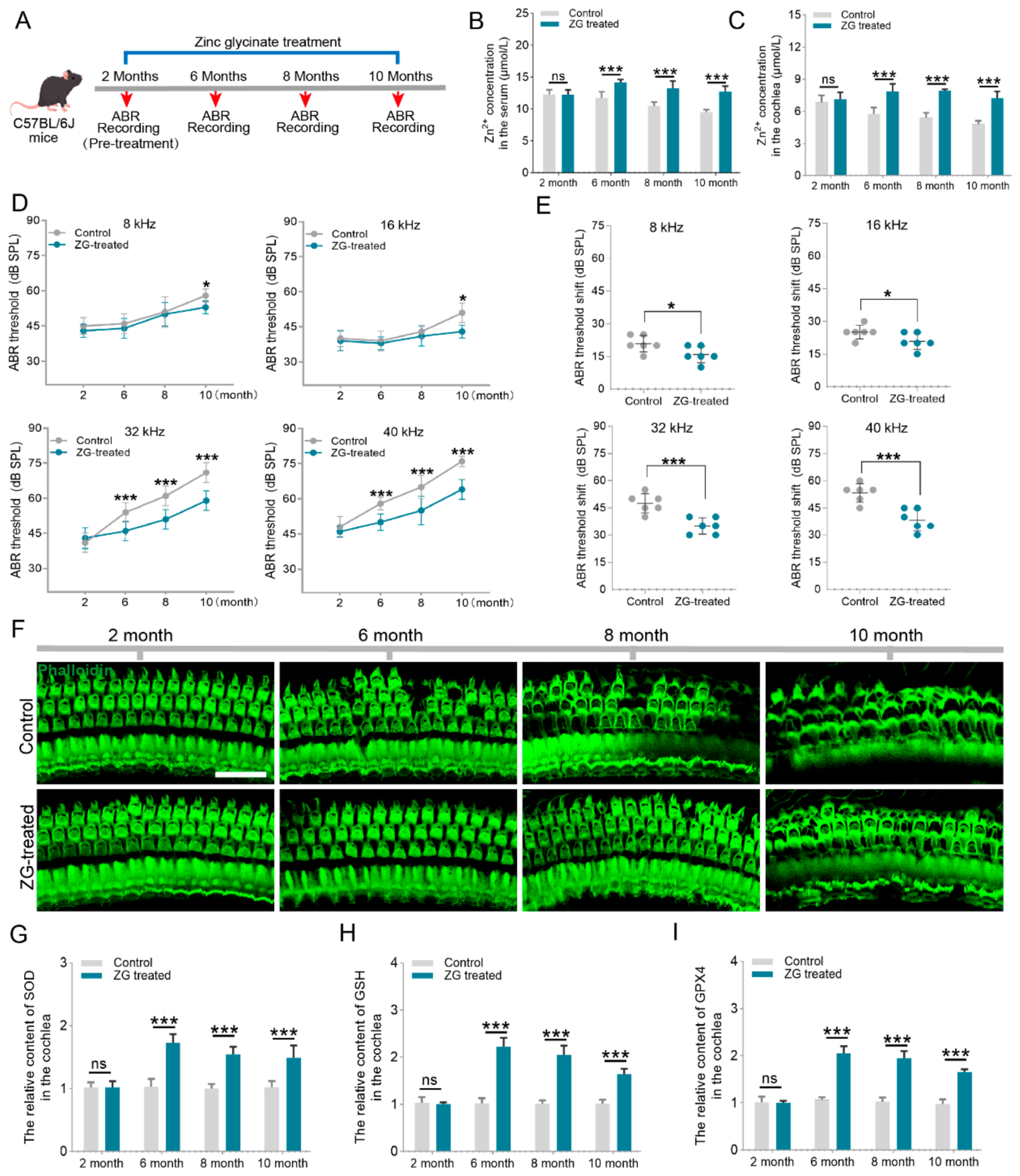 Nutrients 18 03121 g002 Nutrients 18 03121 g002