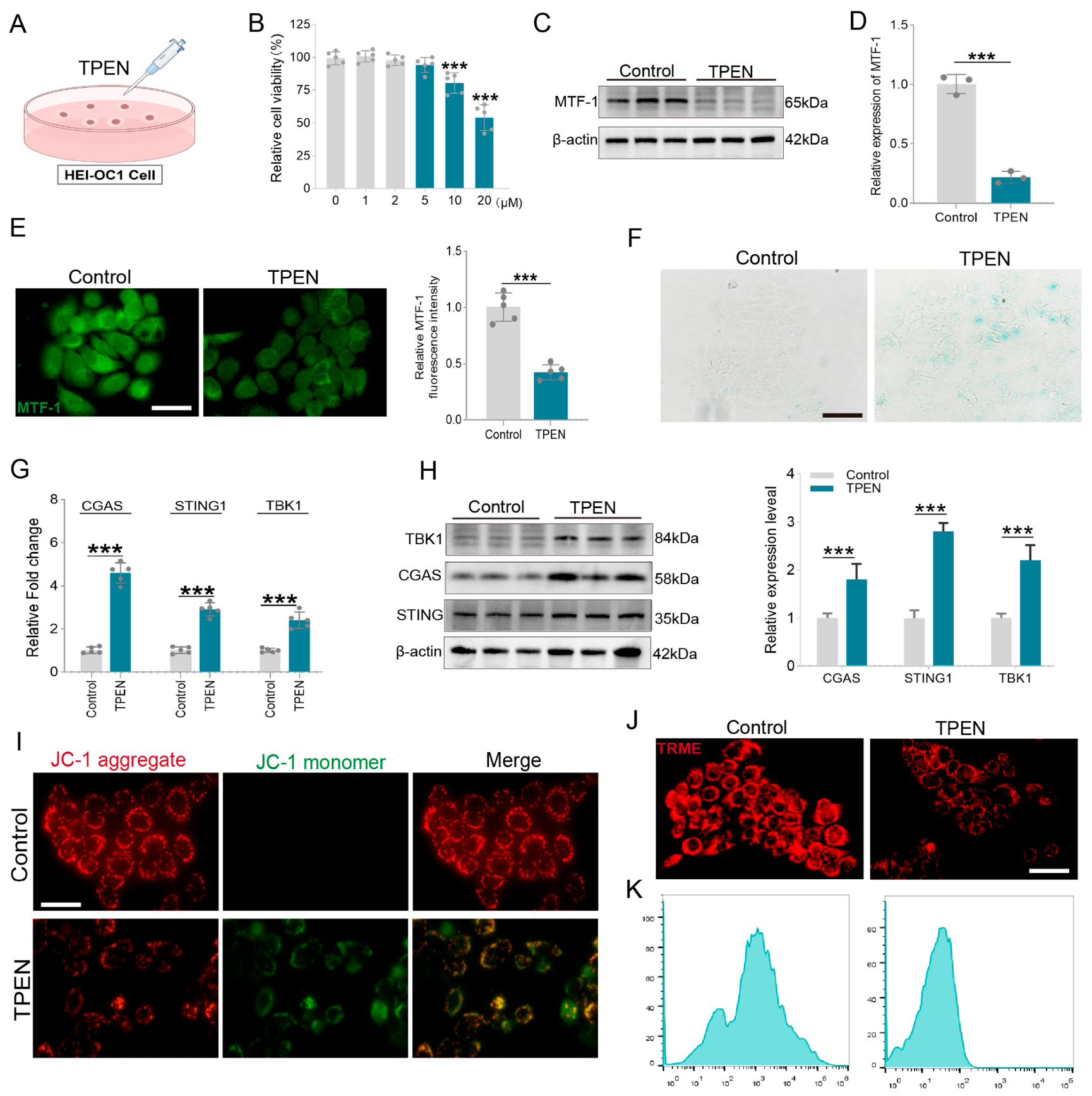Nutrients 18 03121 g005 Nutrients 18 03121 g005