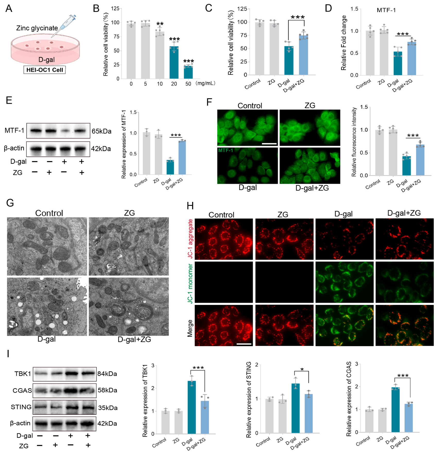 Nutrients 18 03121 g006 Nutrients 18 03121 g006