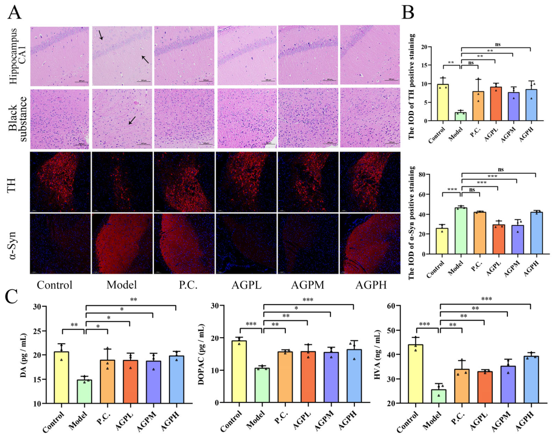 Nutrients 18 03412 g002 Nutrients 18 03412 g002