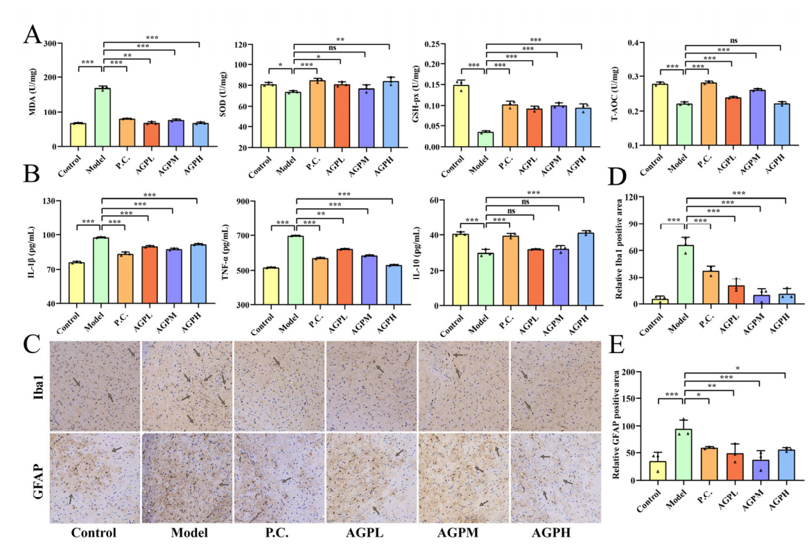 Nutrients 18 03412 g003 Nutrients 18 03412 g003