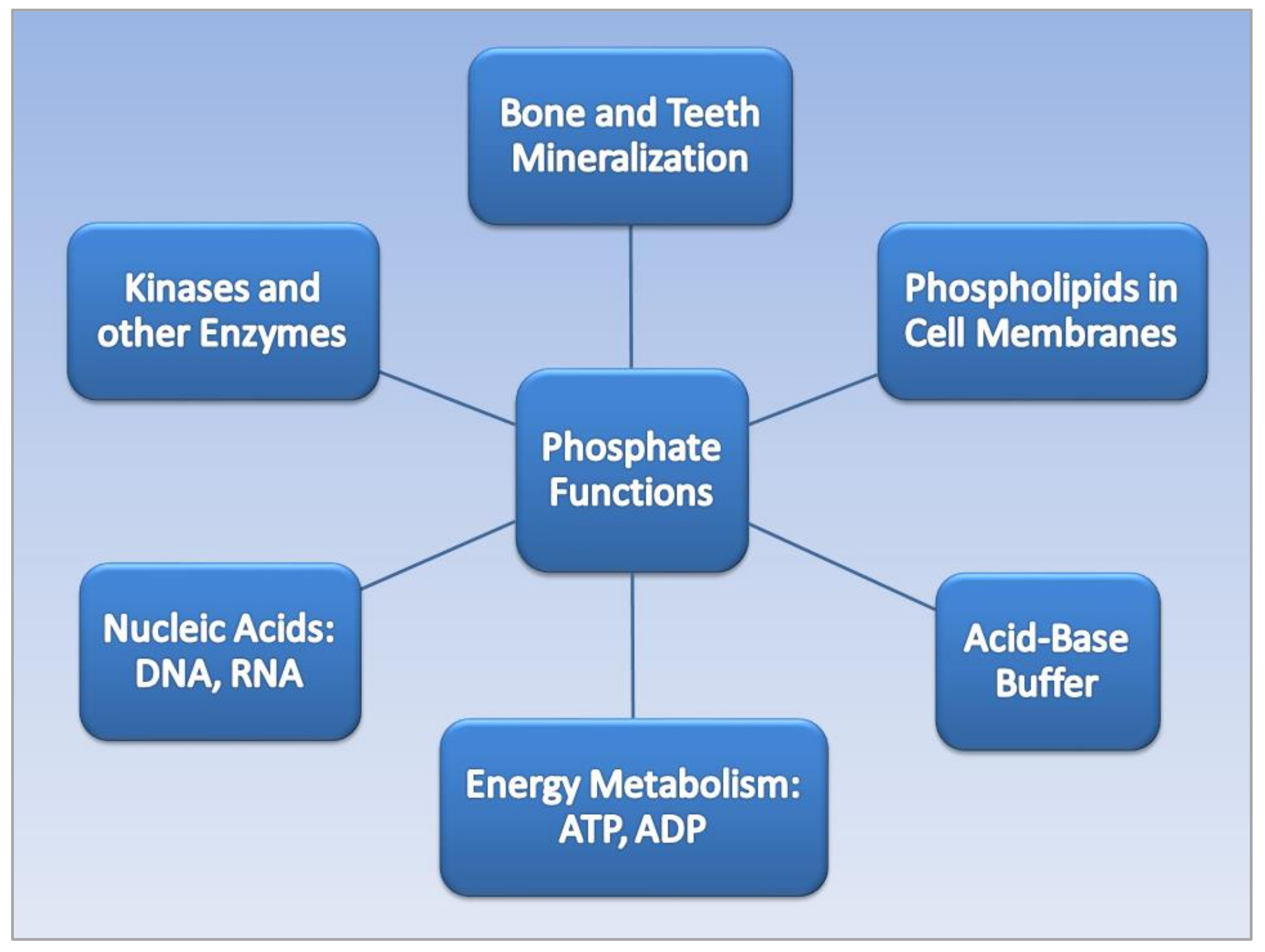Obesities 02 00007 g001