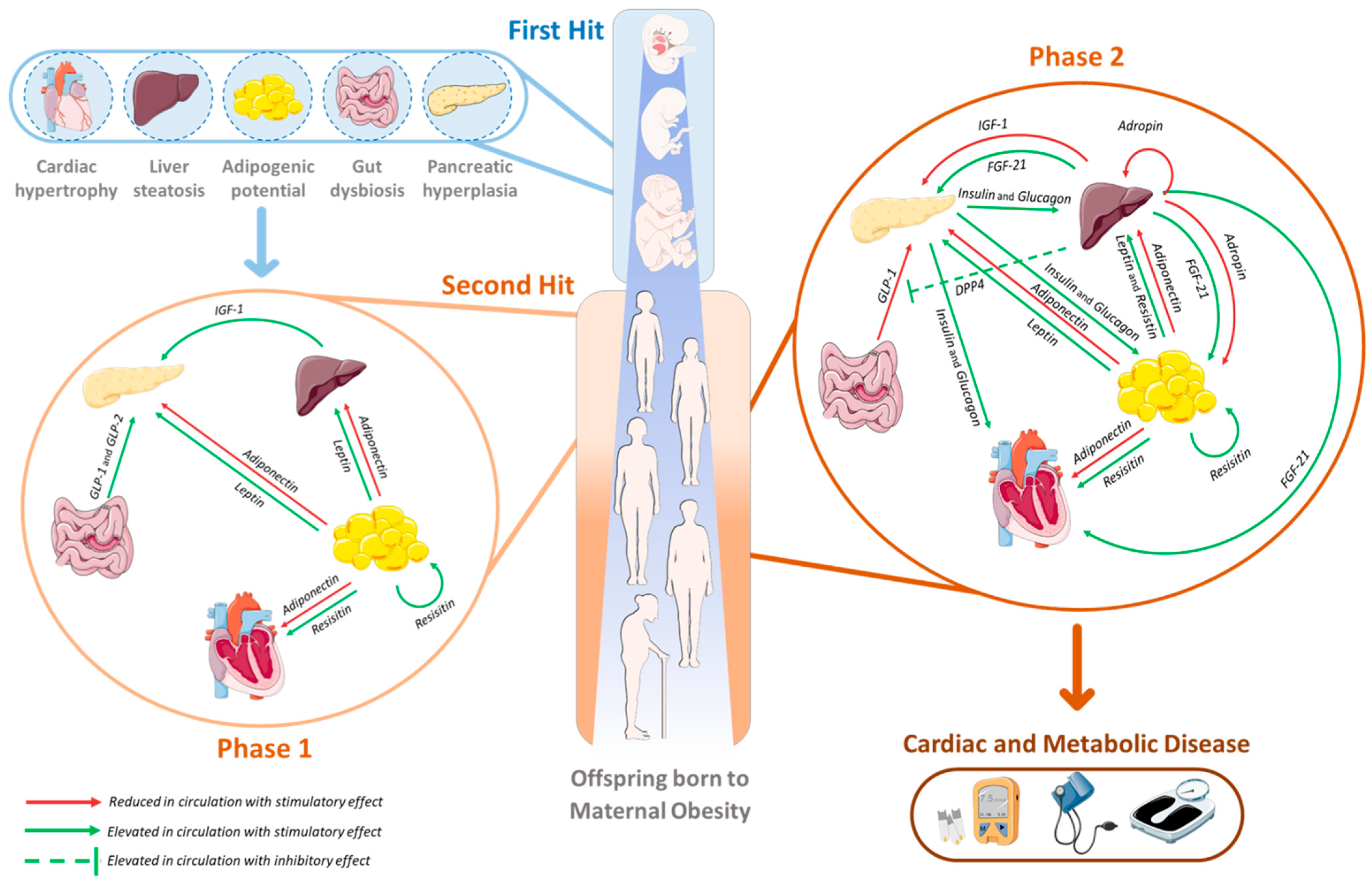 Obesities 02 00019 g002