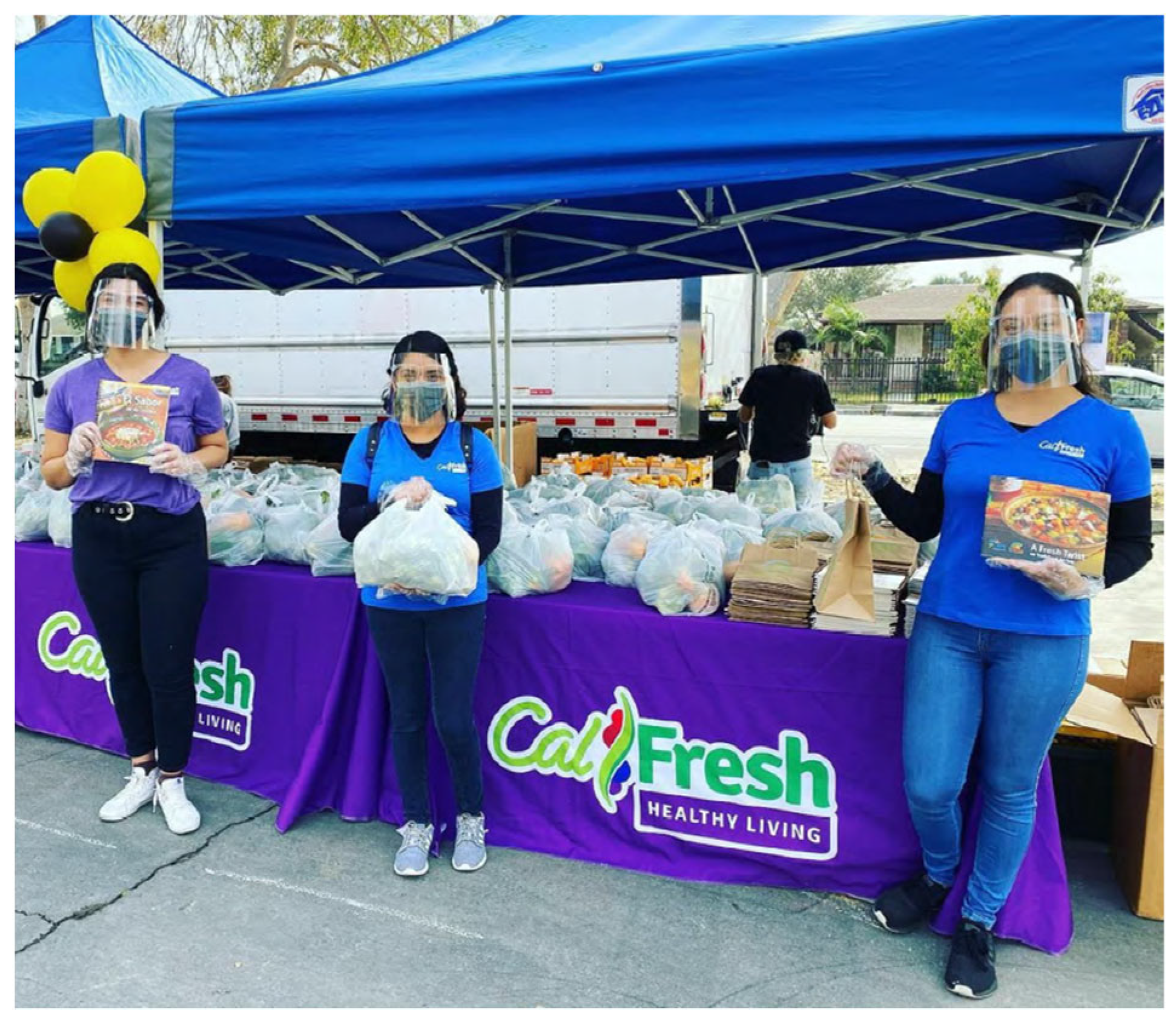 Obesities 02 00021 g001