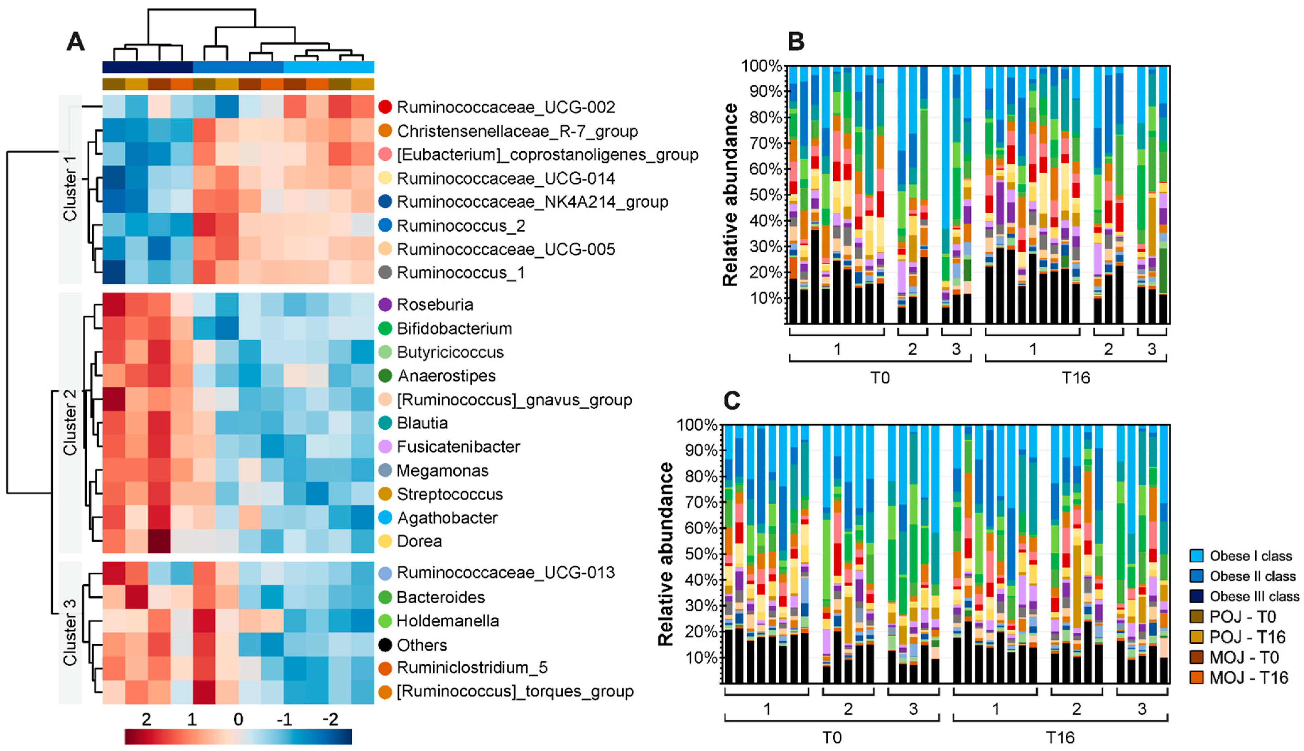 Obesities 02 00033 g003