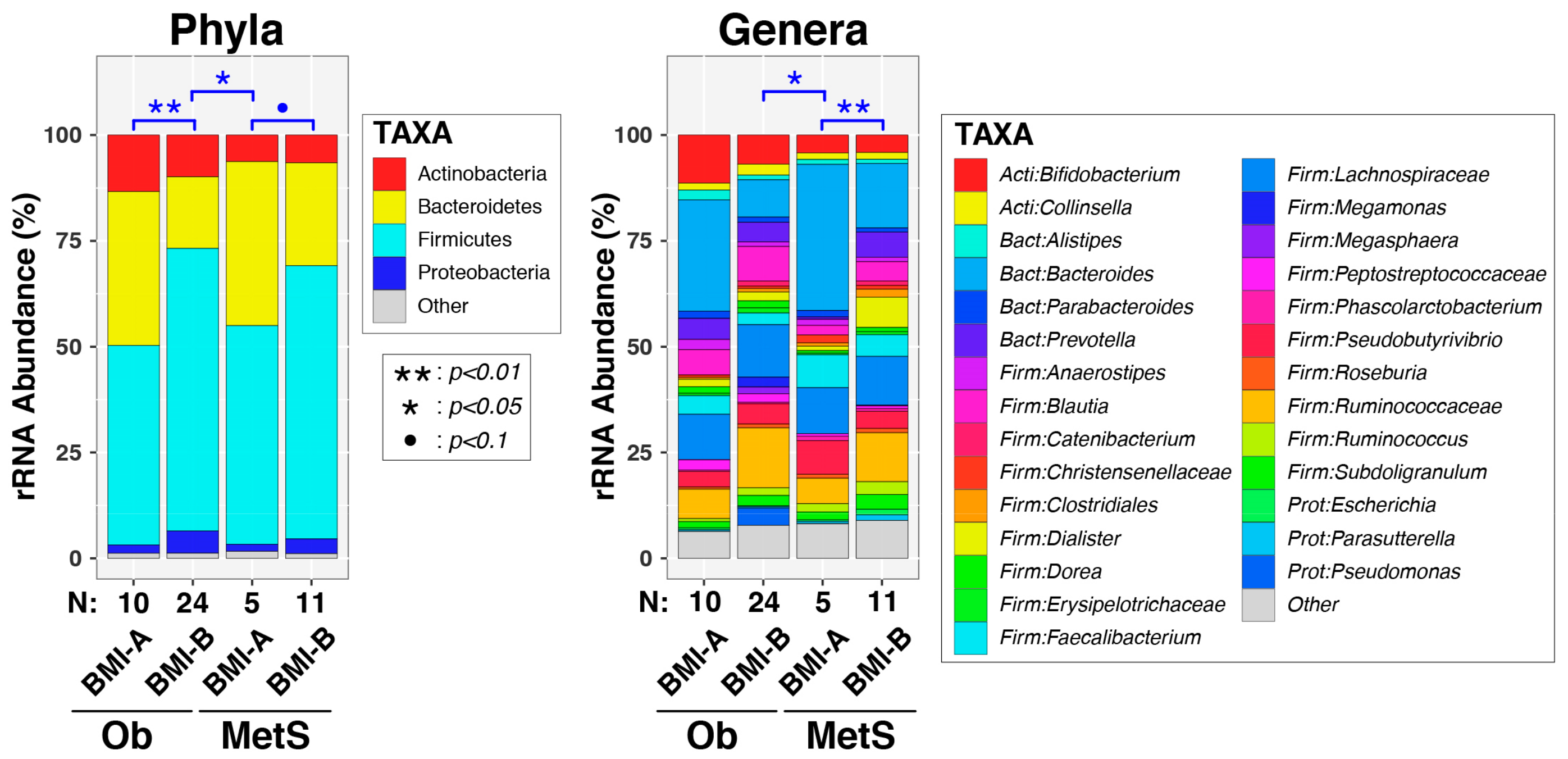 Obesities 03 00021 g002