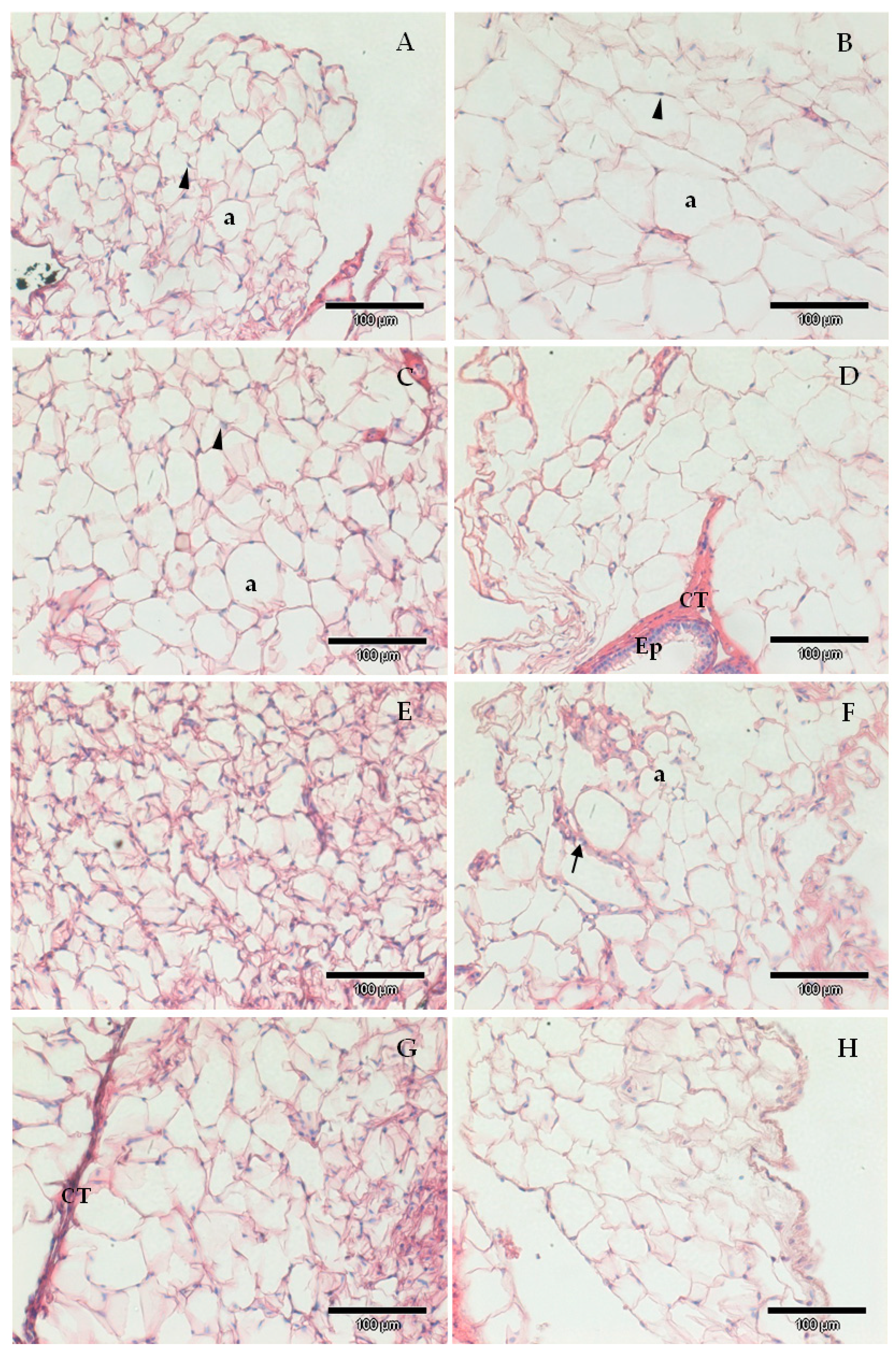 Obesities 03 00022 g003