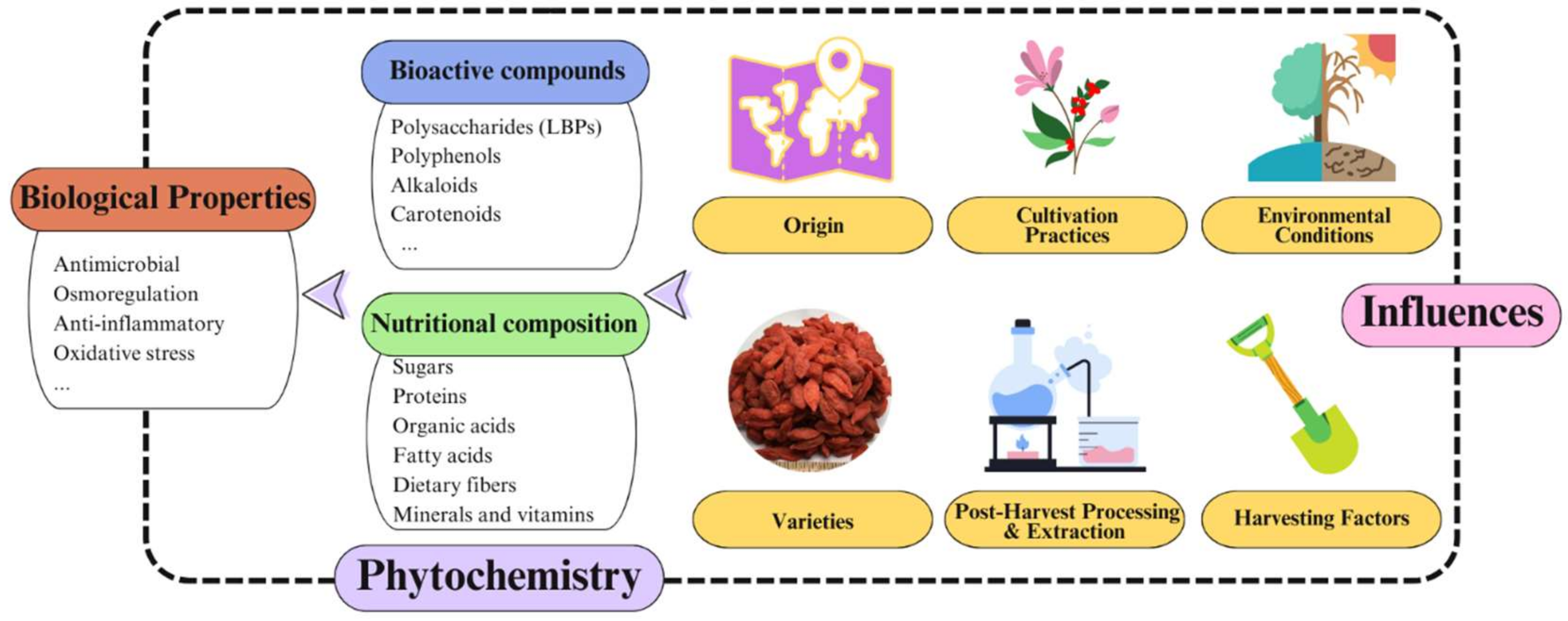 Obesities 05 00035 g001
