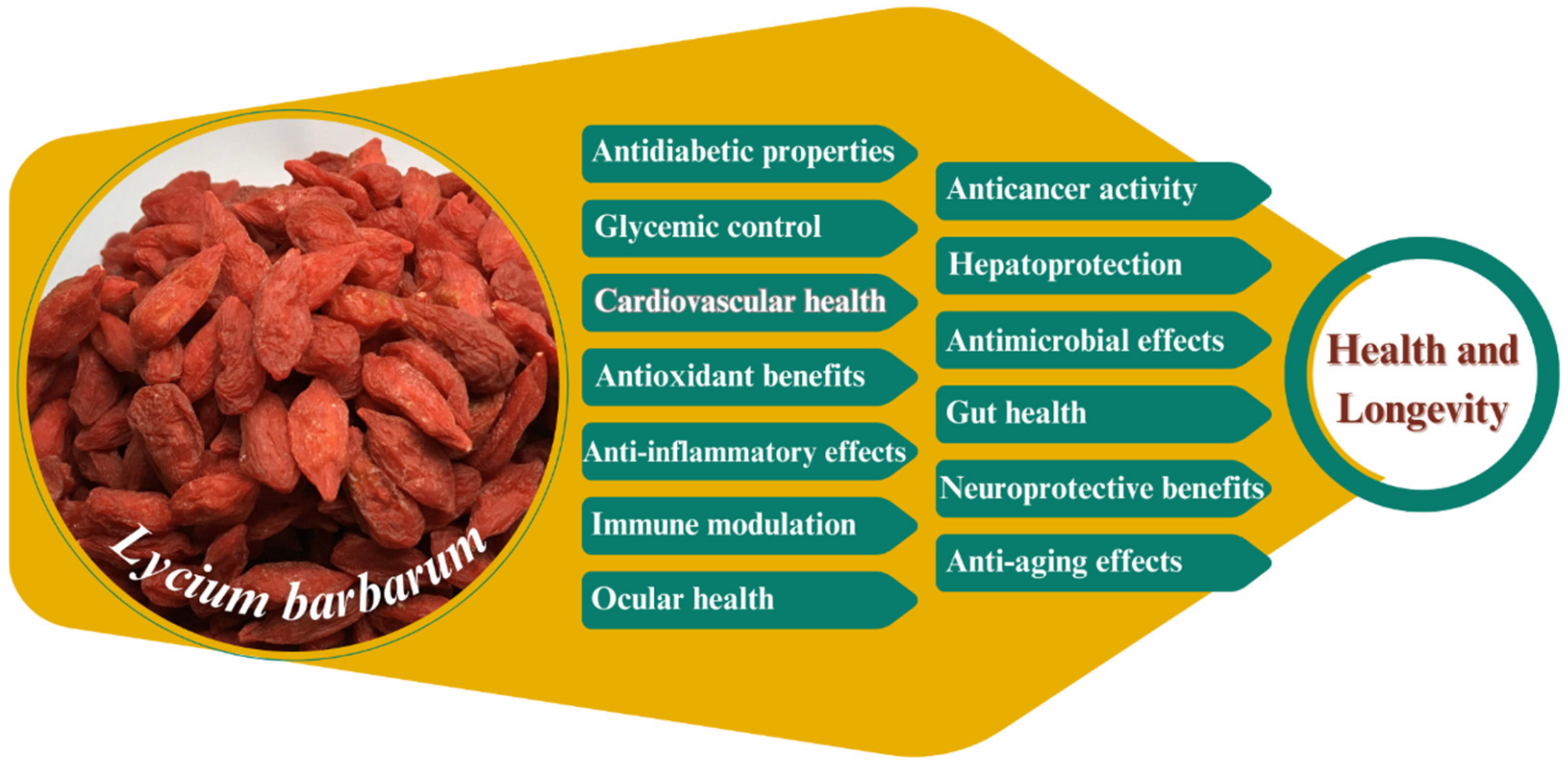 Obesities 05 00035 g003