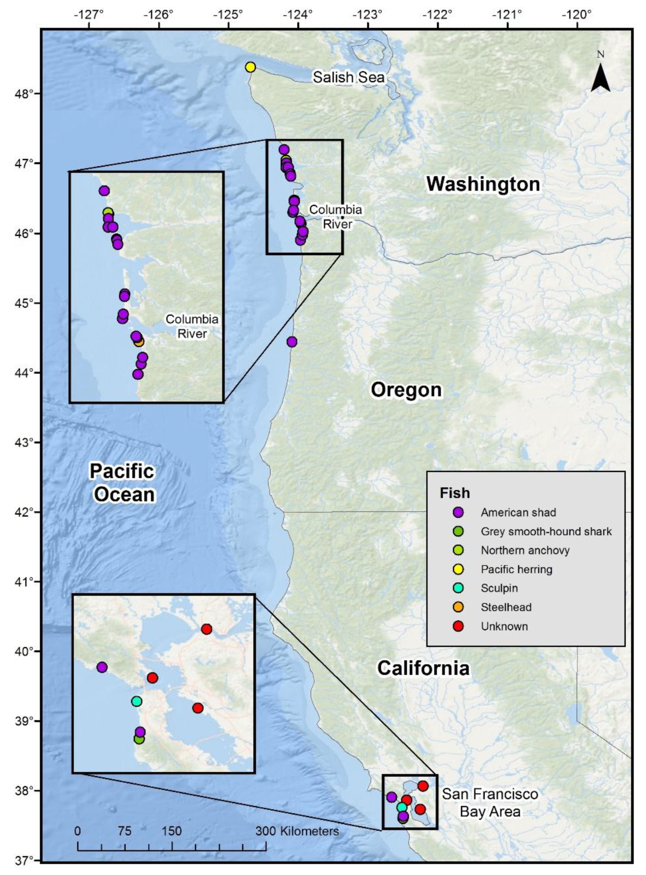 Oceans 01 00008 g001 Oceans 01 00008 g001