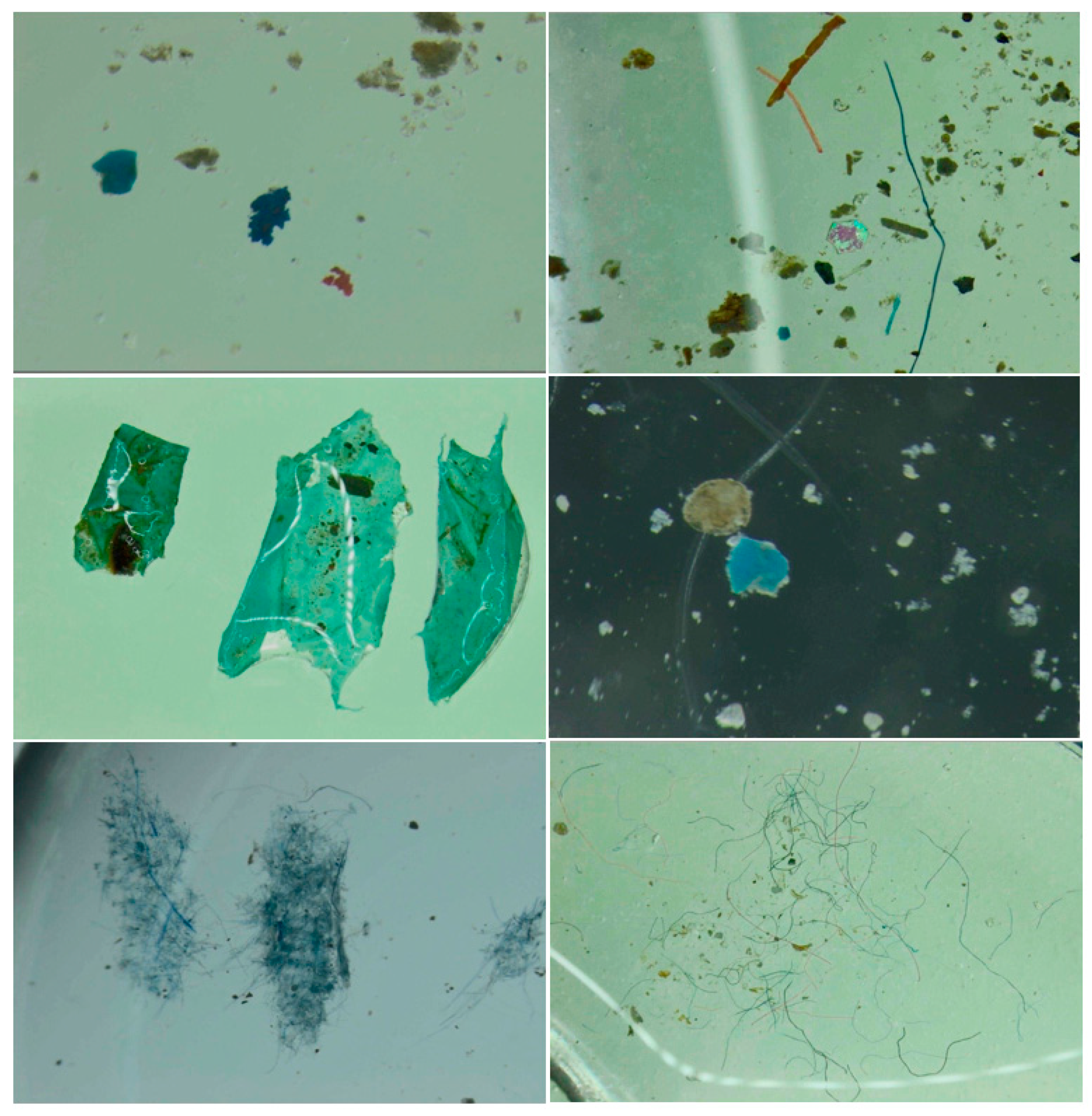 Oceans 02 00010 g004