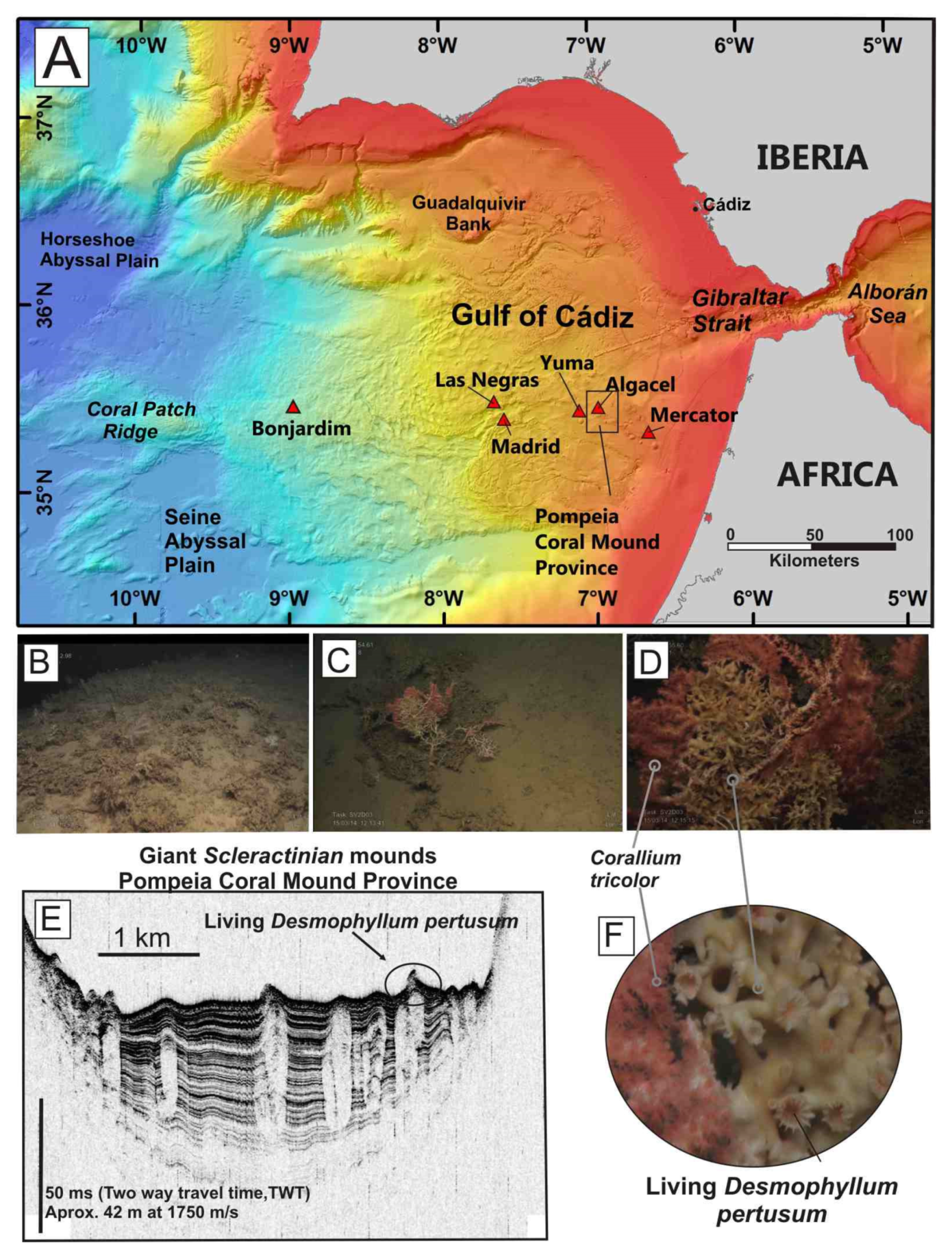 Oceans 02 00021 g004