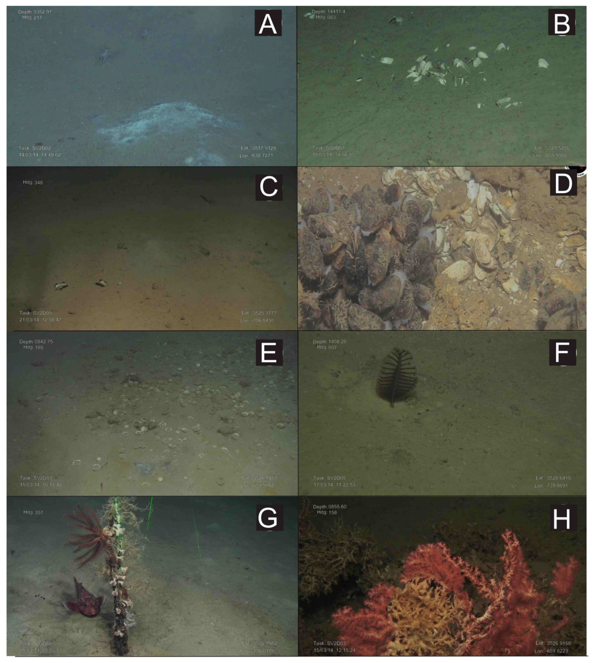 Oceans 02 00021 g006