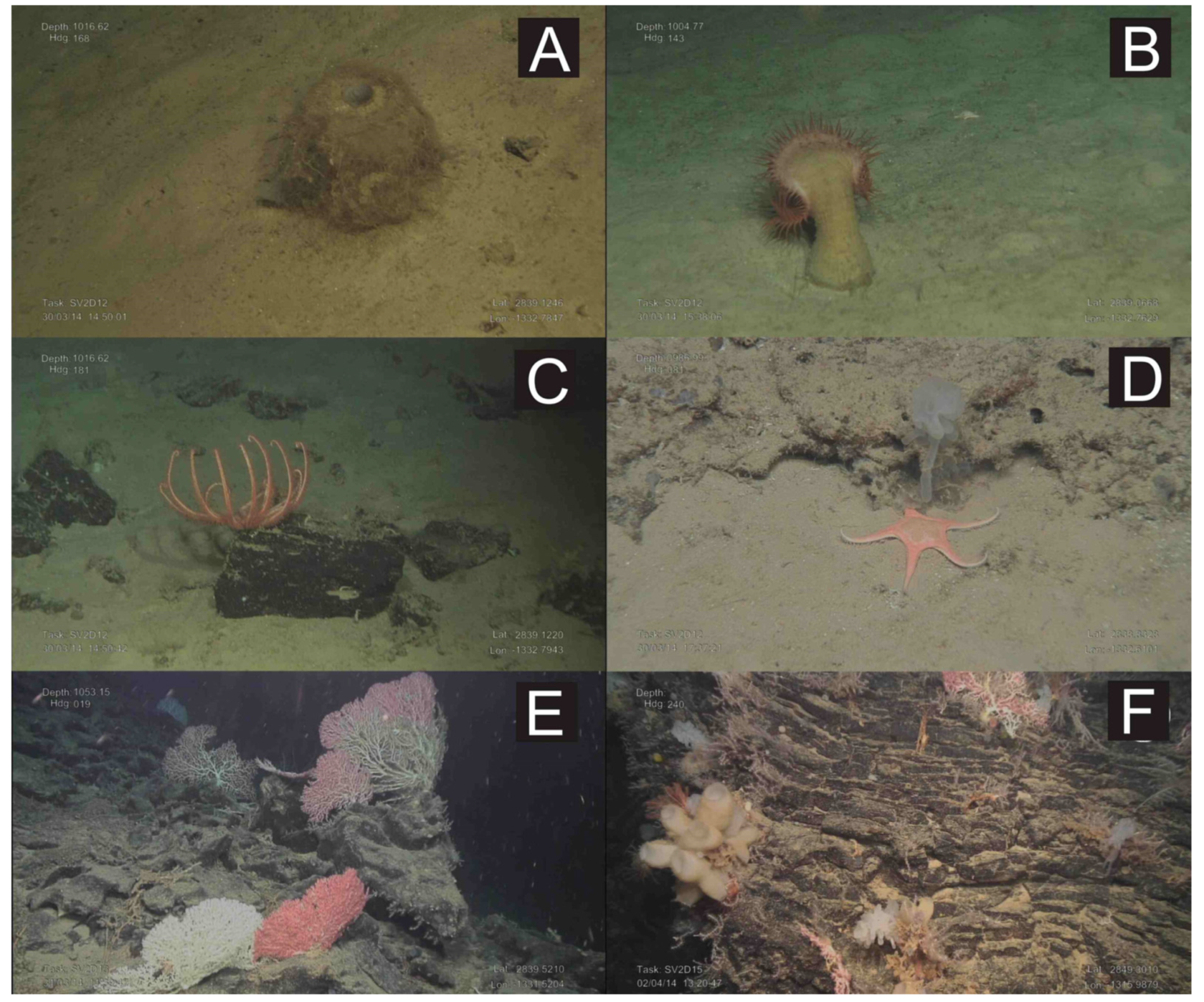 Oceans 02 00021 g008