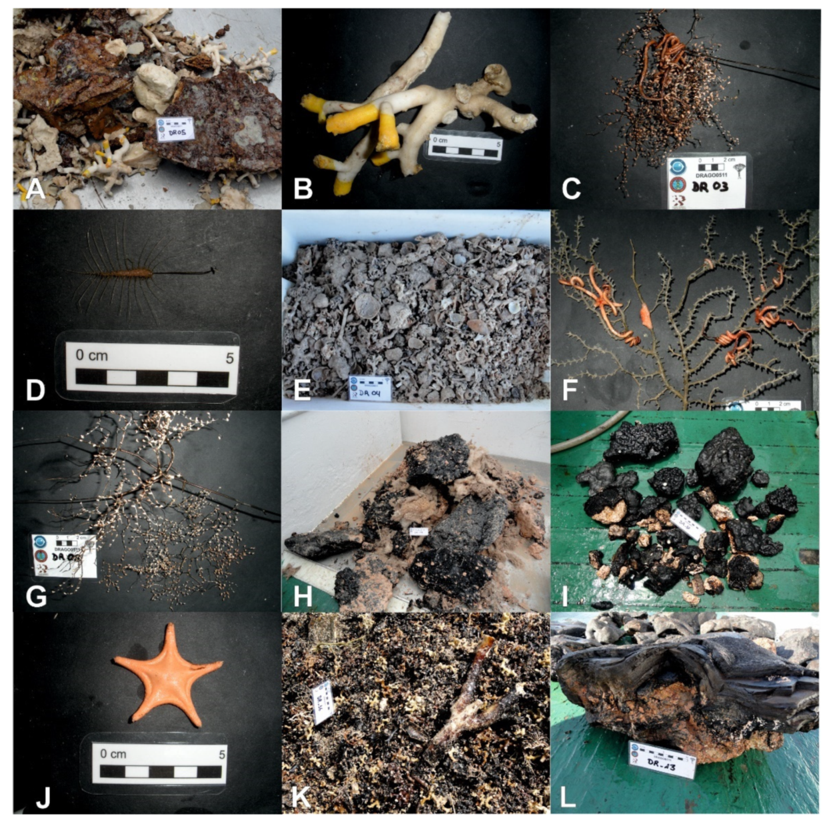 Oceans 02 00021 g011