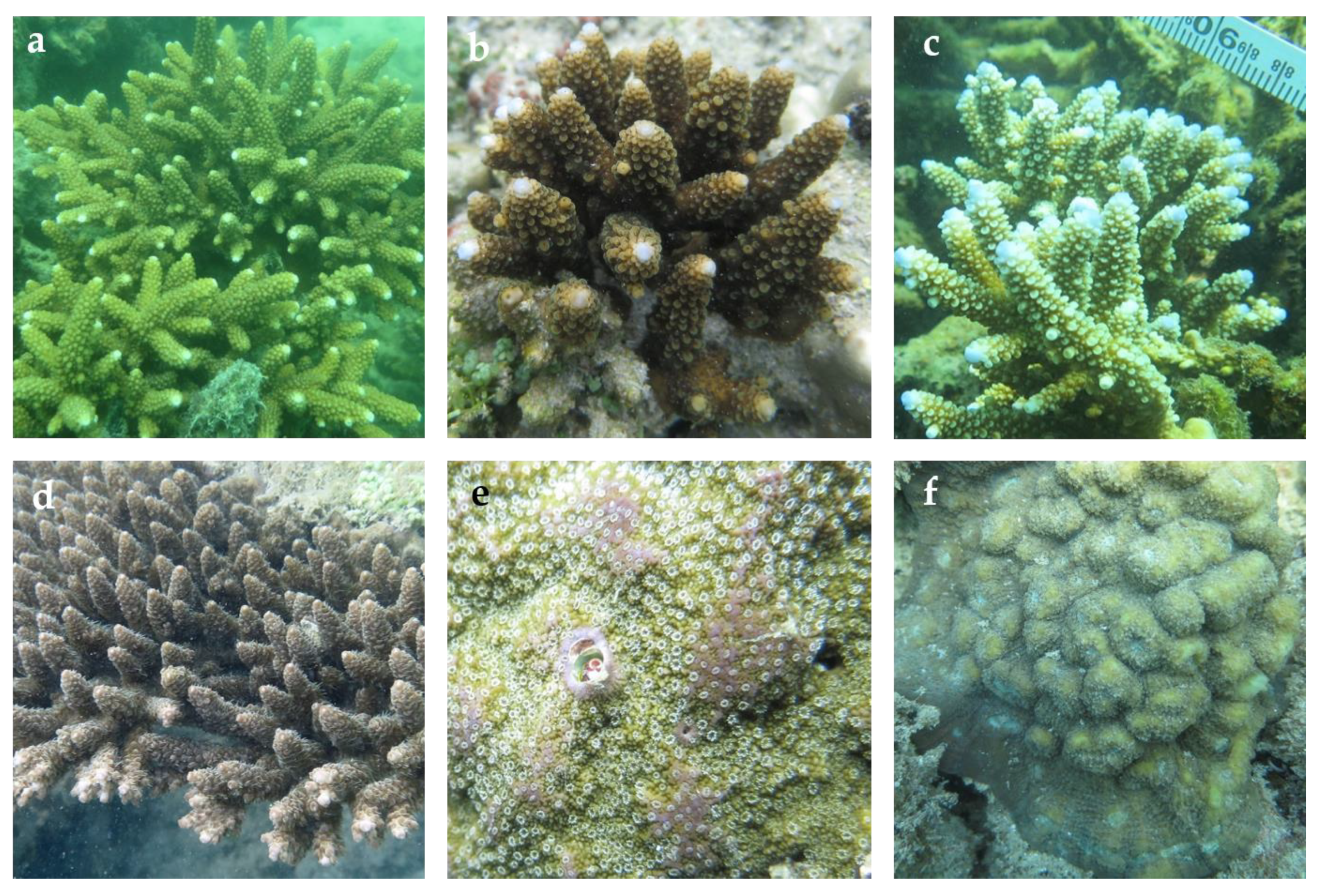 Oceans 02 00029 g006