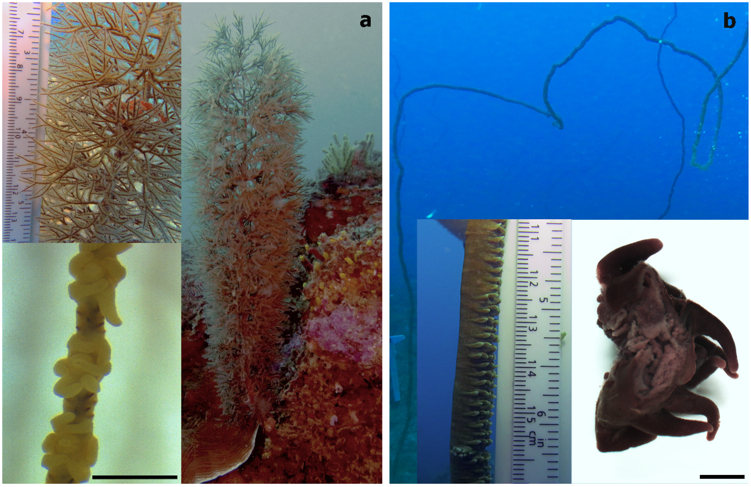 Oceans 02 00044 g002