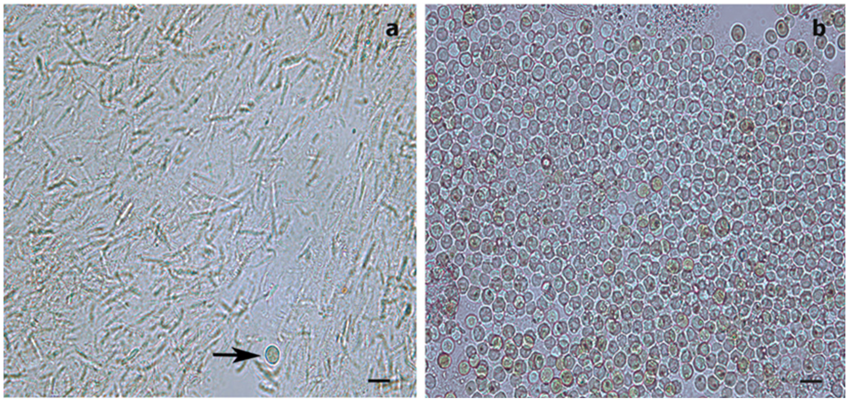 Oceans 02 00044 g003