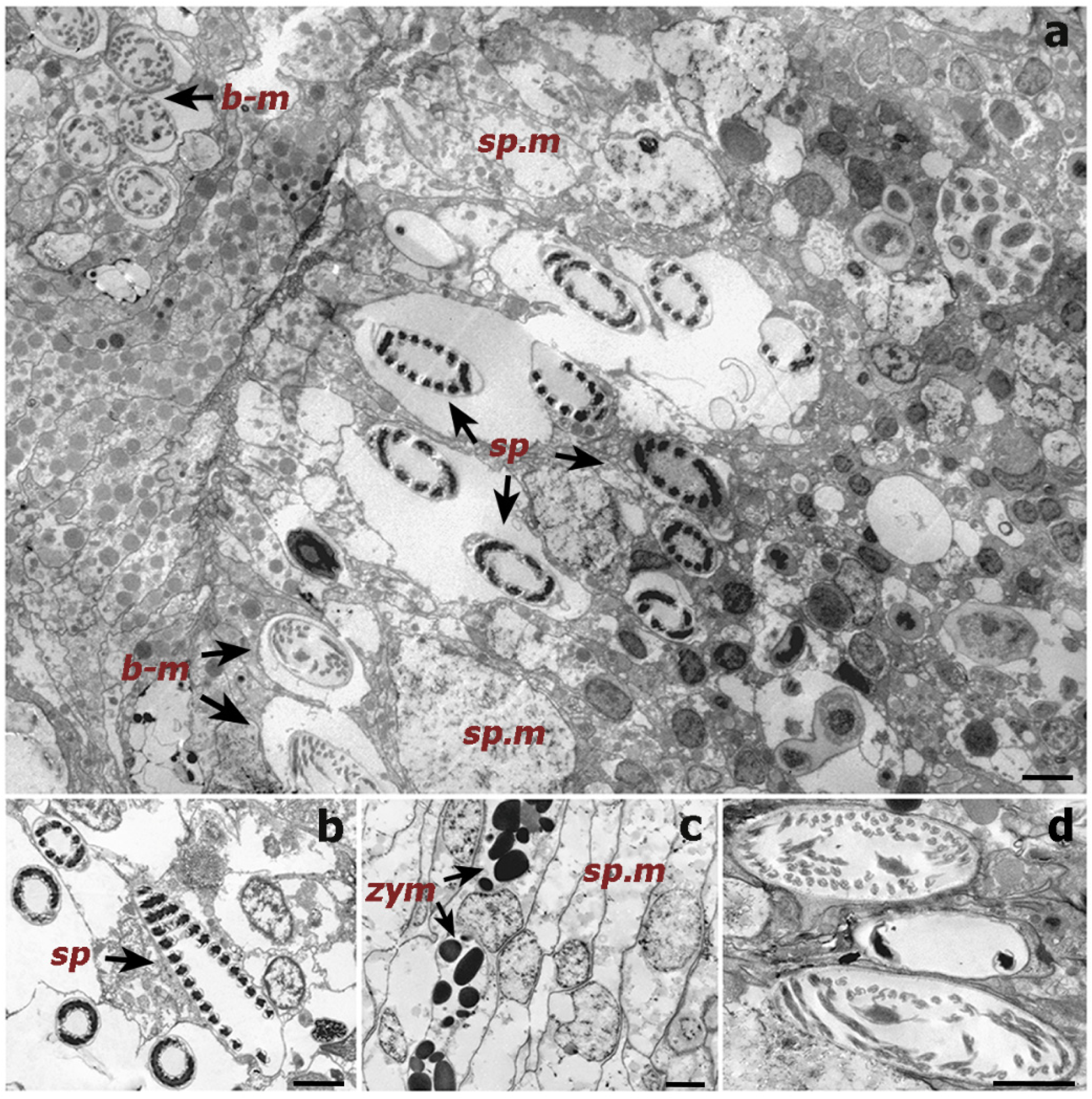 Oceans 02 00044 g005
