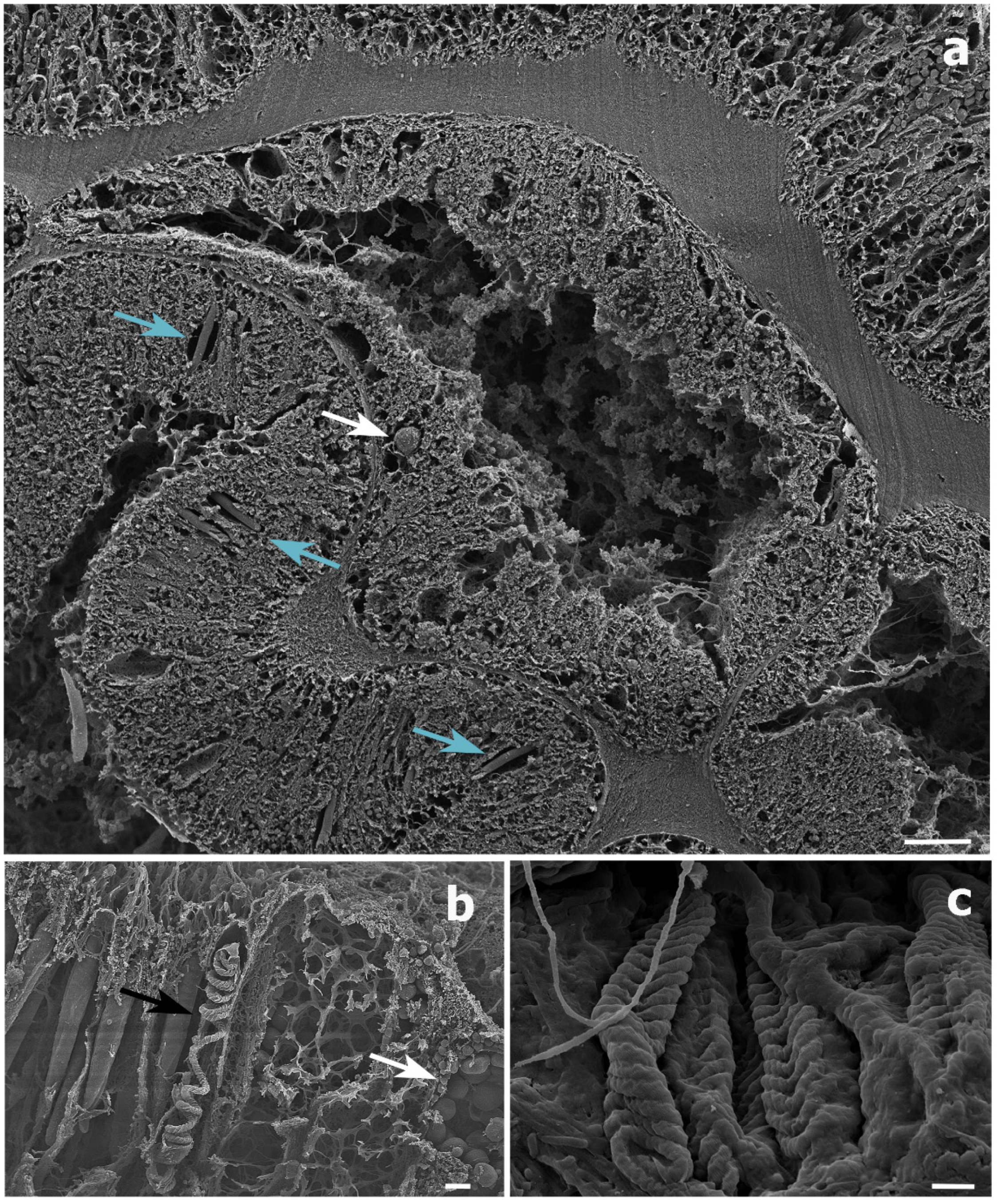 Oceans 02 00044 g006