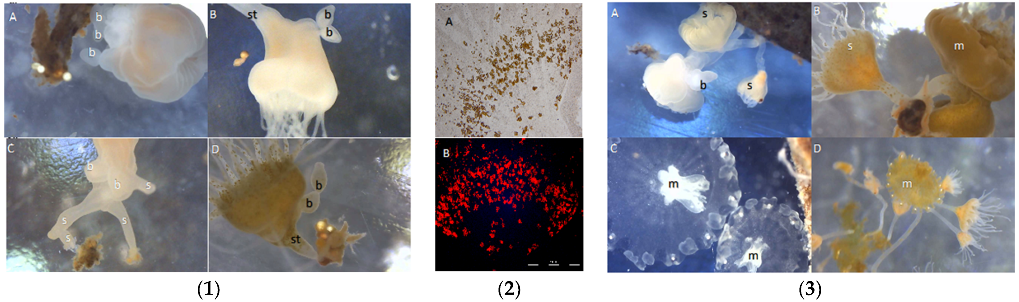 Oceans 02 00046 g007